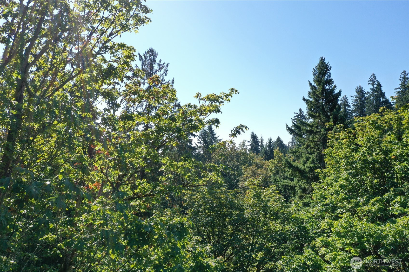 9458 SE 47th Street, Mercer Island, WA 98040