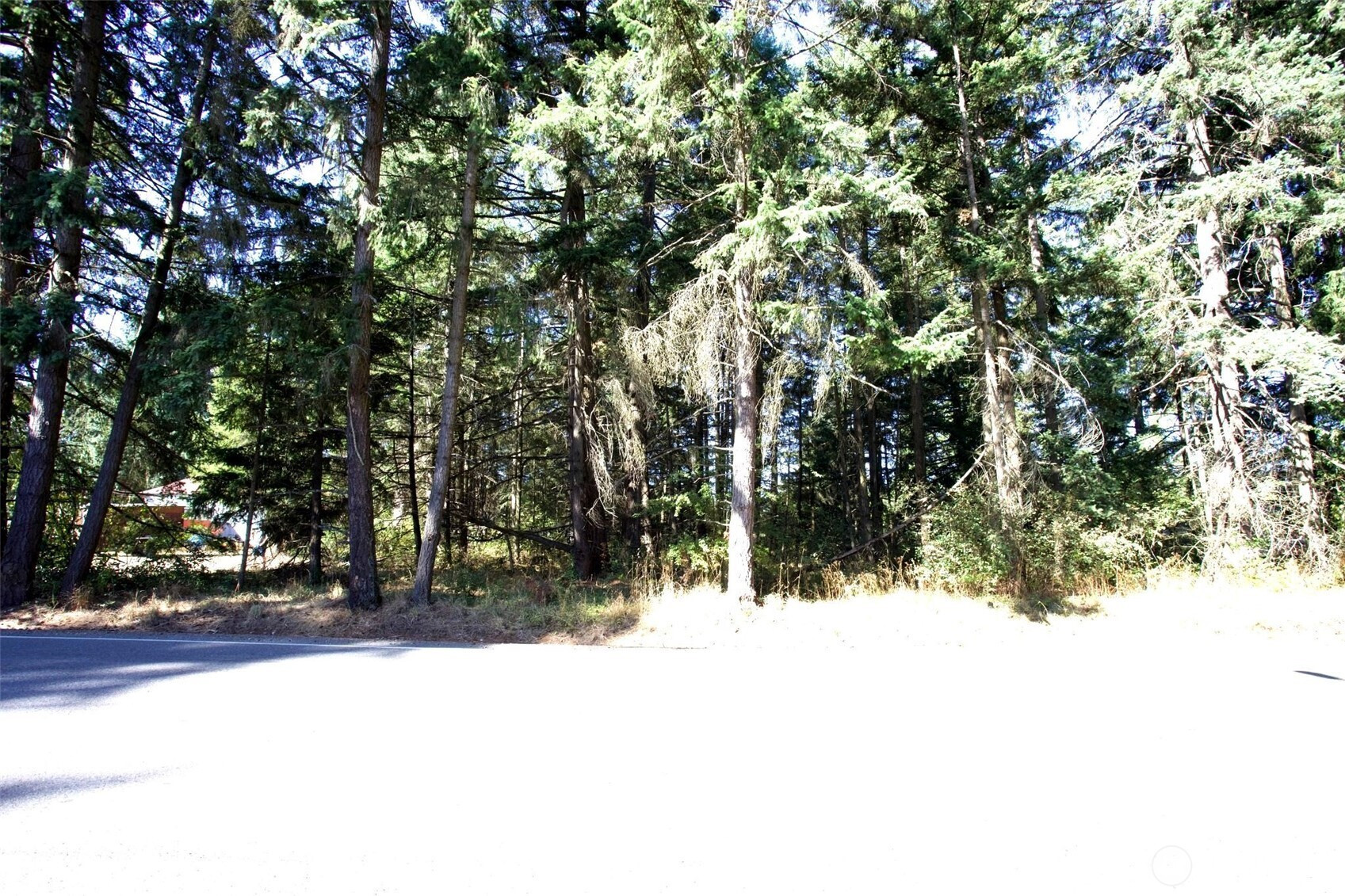 20622 46th Avenue E, Spanaway, WA 98378