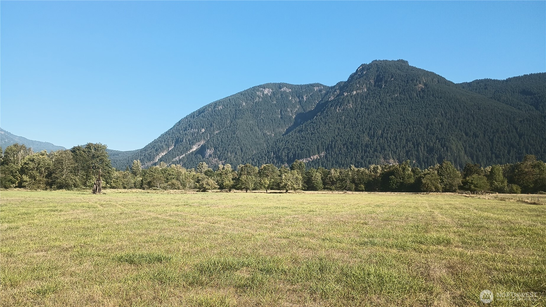 1179 Cline Road, Randle, WA 98377