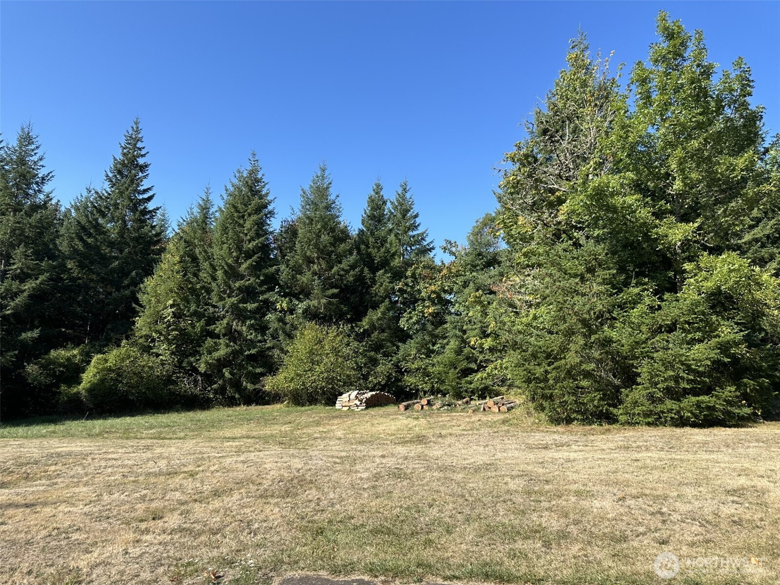 114 Skyview Road, Woodland, WA 98674