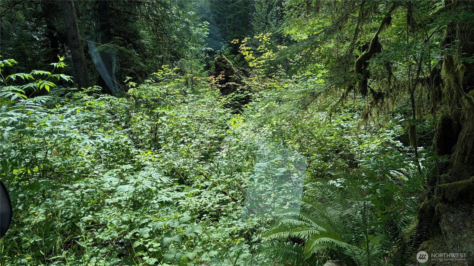 300000 BLK Daggart Road NW, Monroe, WA 98272
