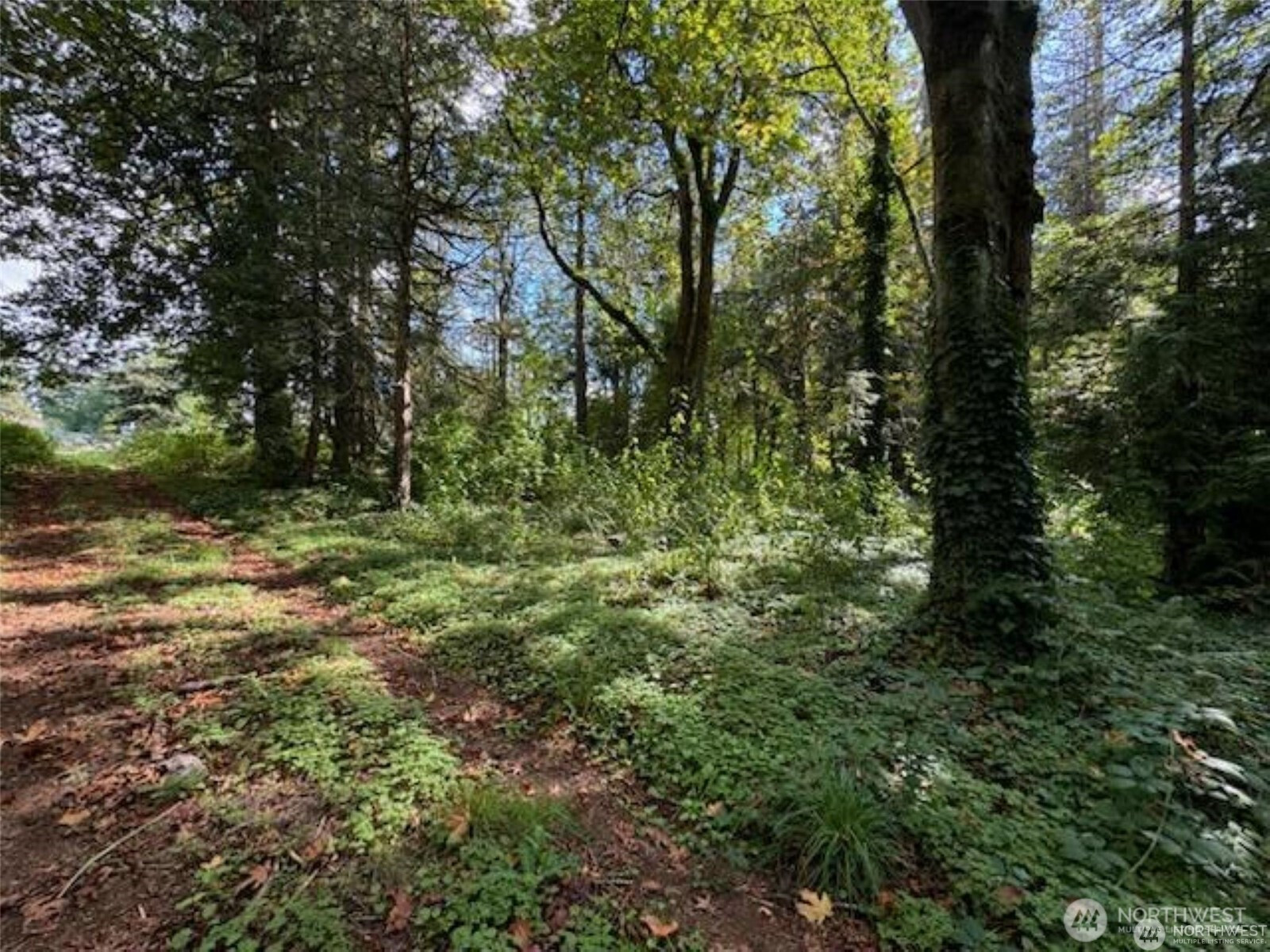 10516 62nd Avenue E, Puyallup, WA 98373