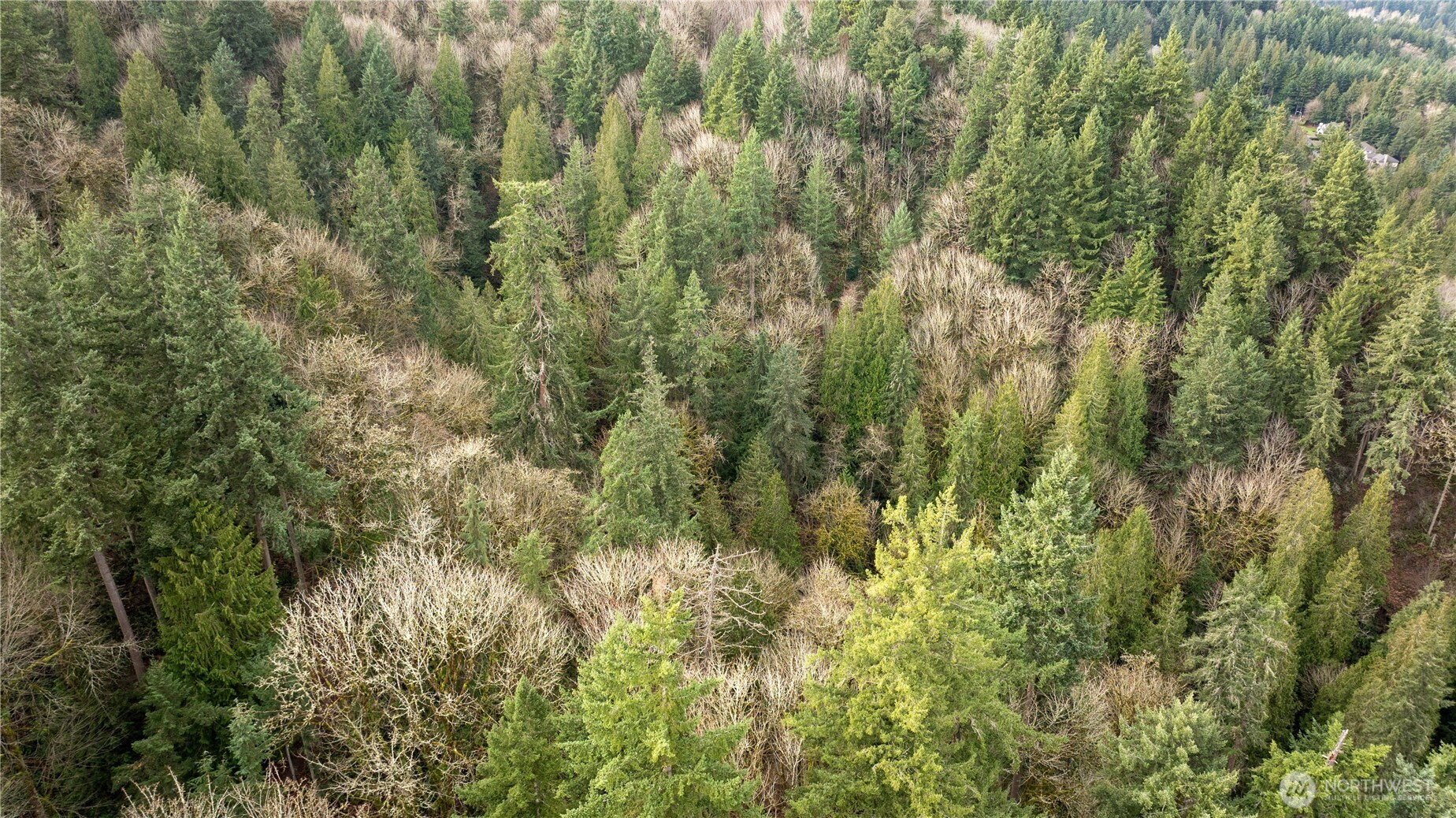 190 XX SE 66th Street, Issaquah, WA 98027