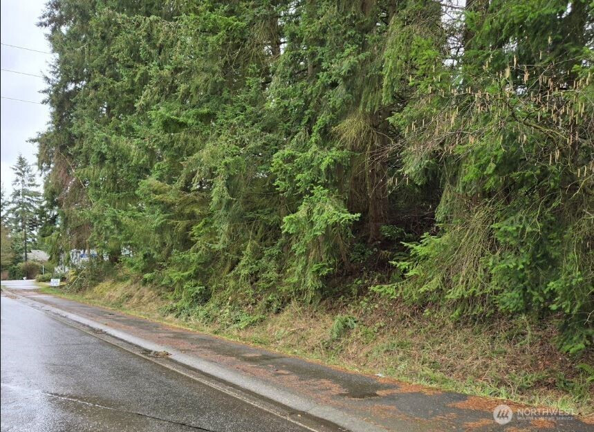 803 140th Avenue SE, Bellevue, WA 98005