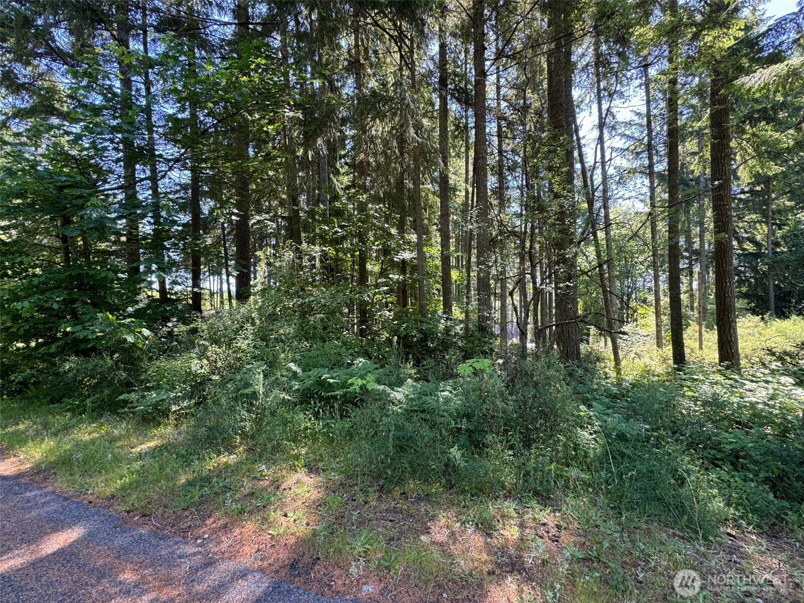 0 191st Avenue SW, Lakebay, WA 98349