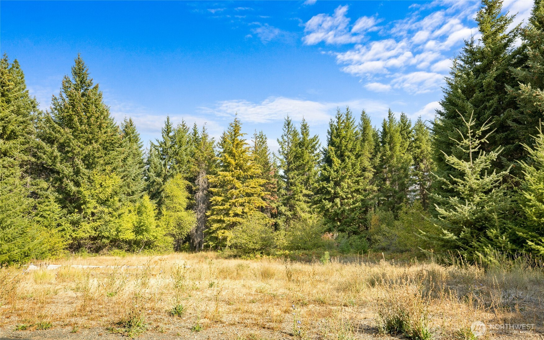 3241 Jenkins Drive, Cle Elum, WA 98922