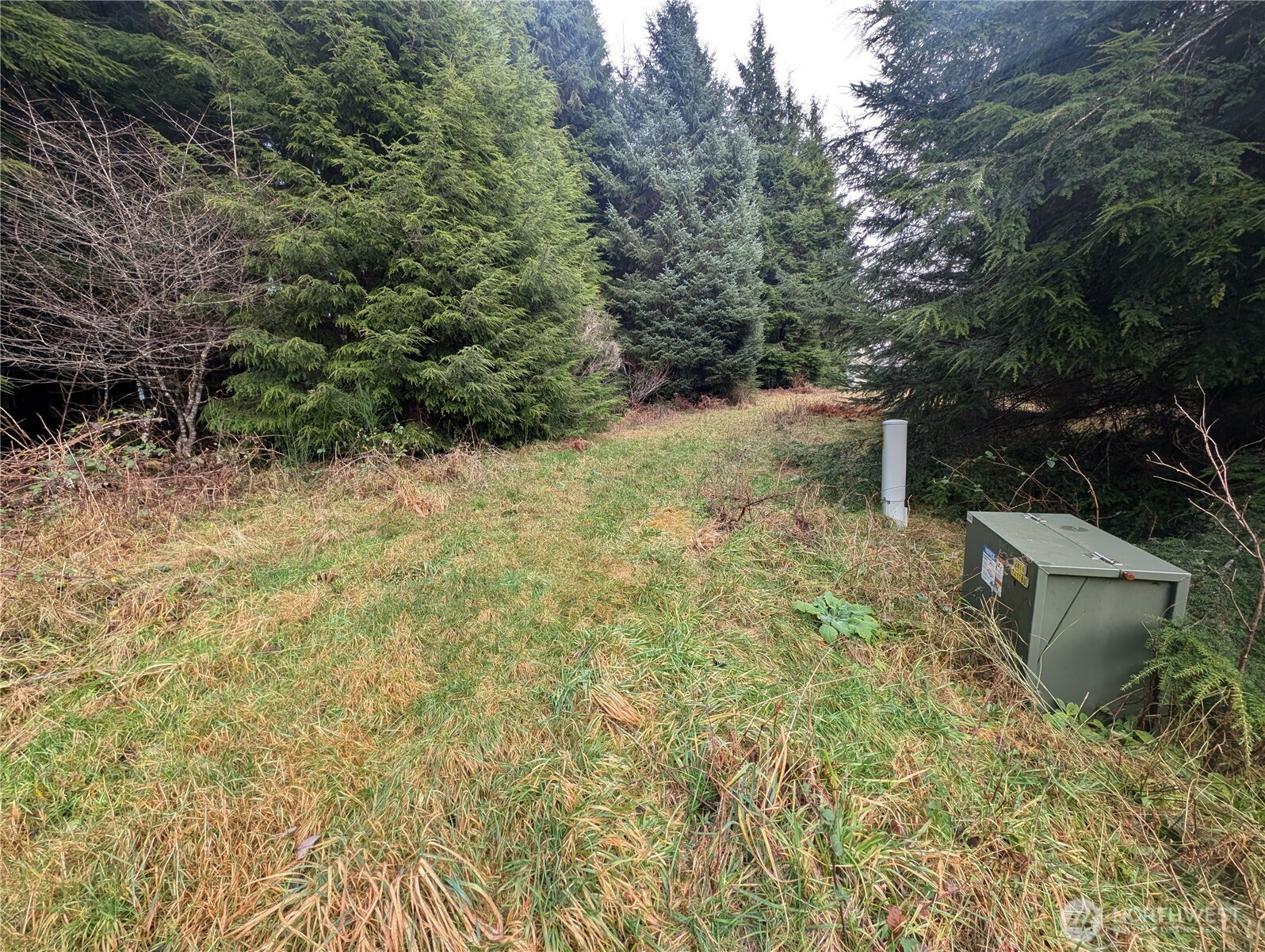 999 Green Road, Forks, WA 98331