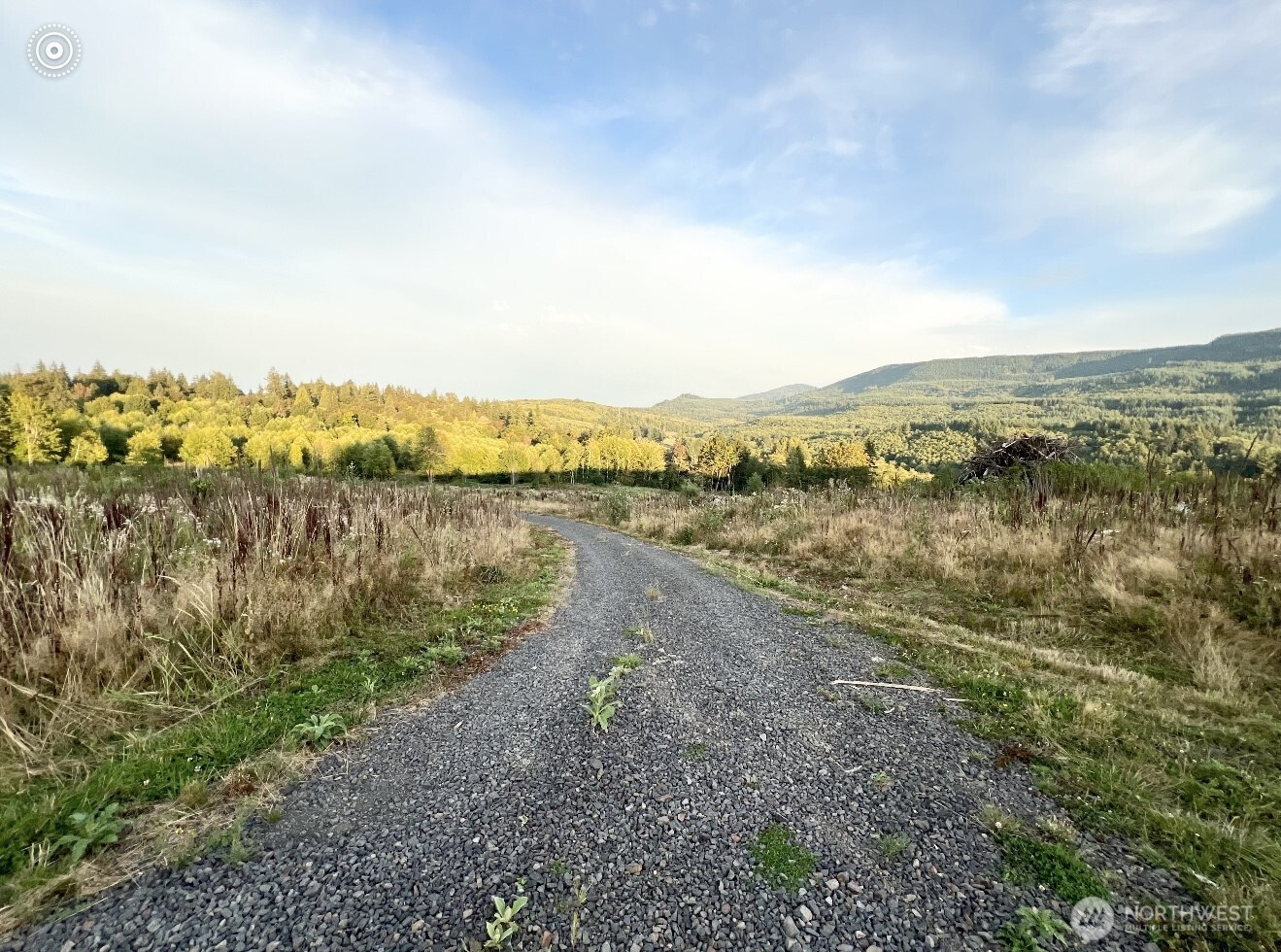 195 Hagen #82 Road, Mossyrock, WA 98564