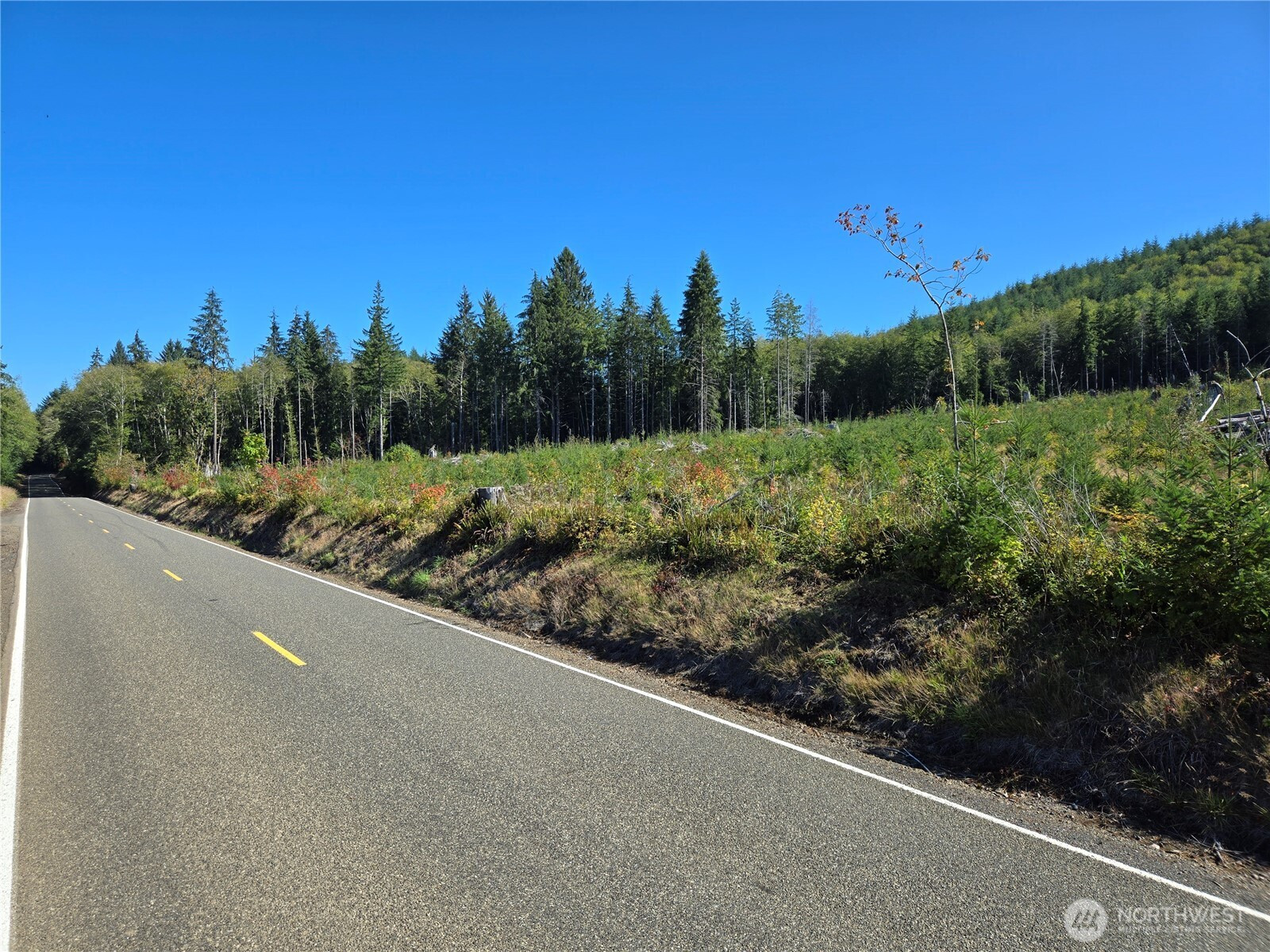 0 MP 15.7 Wishkah Road, Aberdeen, WA 98520