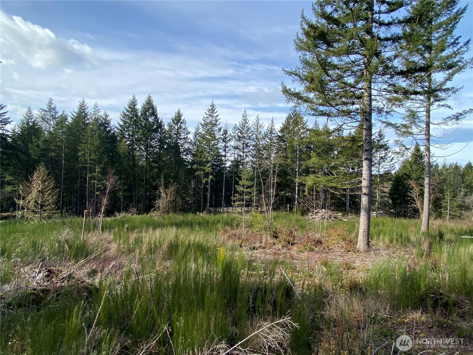 15608 176th Avenue NW, Gig Harbor, WA 98329