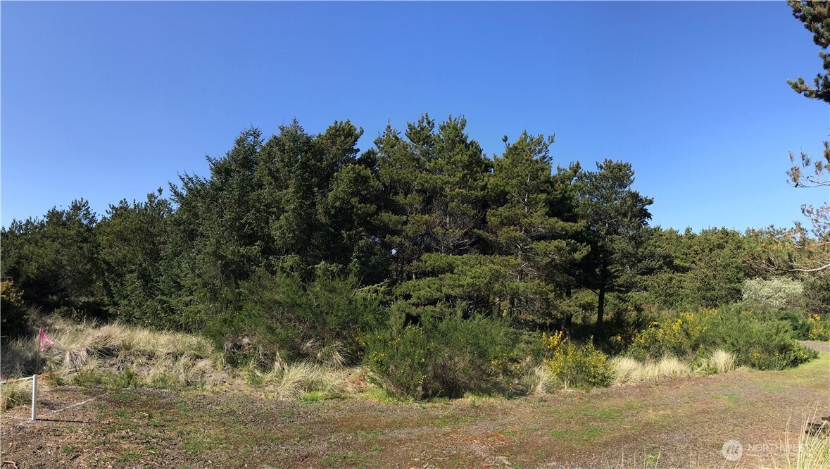 409 N Gold Street, Westport, WA 98595