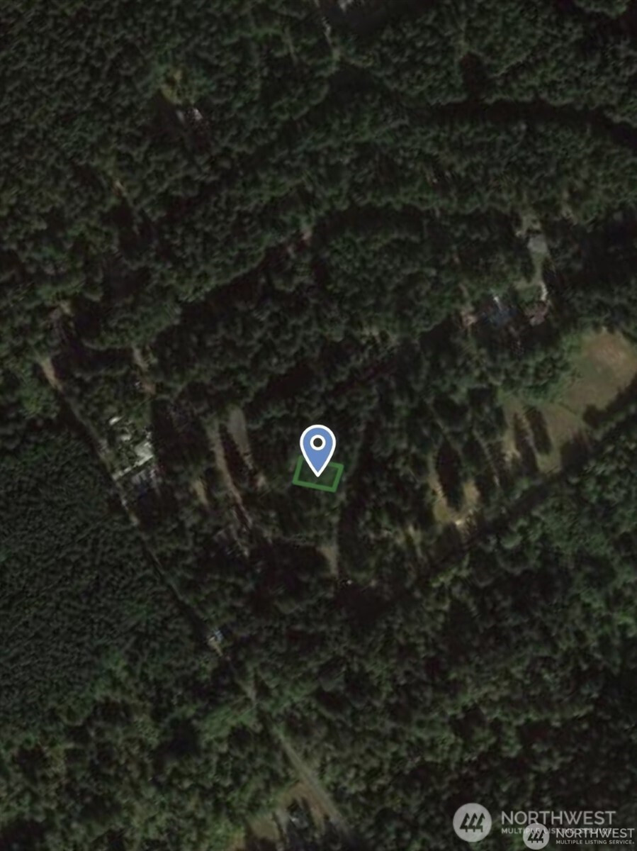 10608 Edgewood Drive, Anderson Island, WA 98303