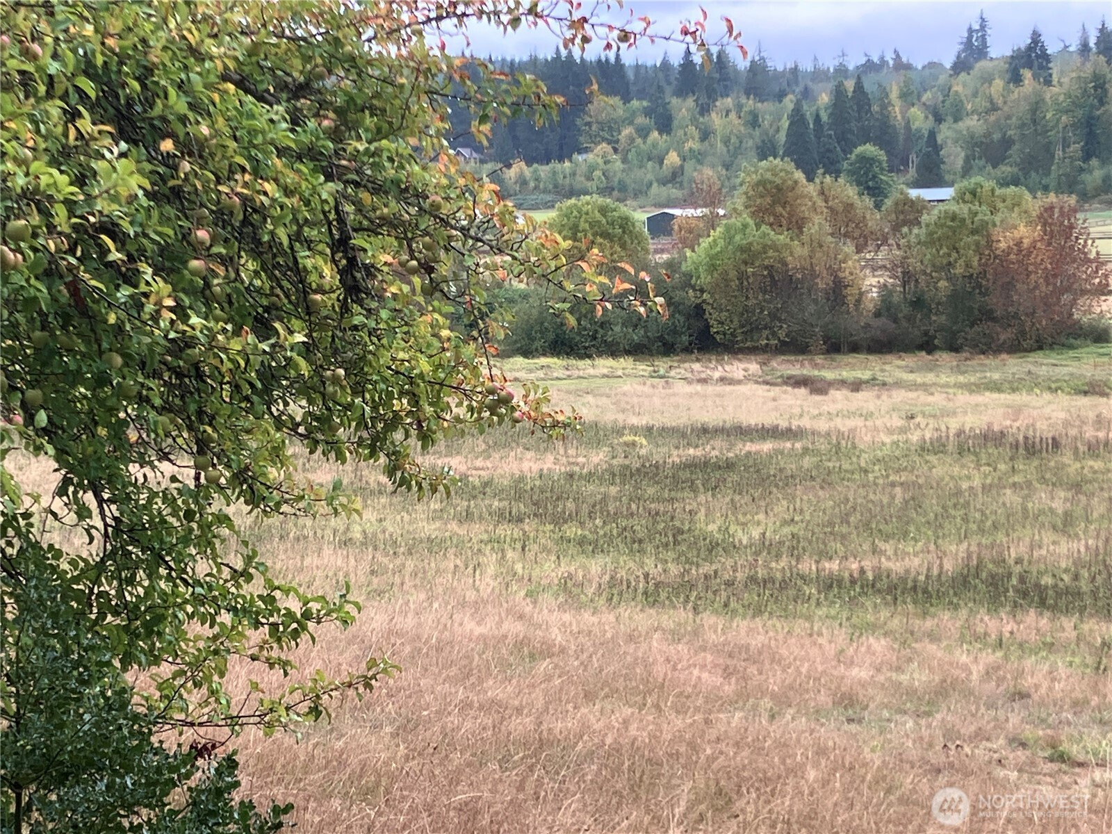 1981 W HURLEY WALDRIP Road, Shelton, WA 98584