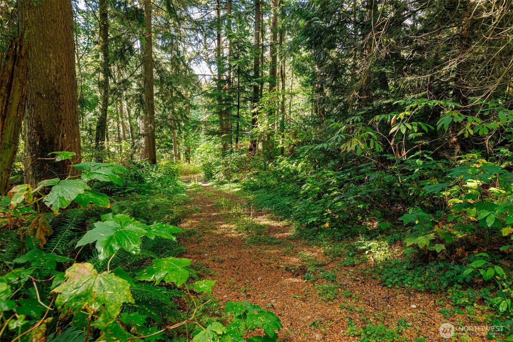 5326 Reese Hill Road, Sumas, WA 98295