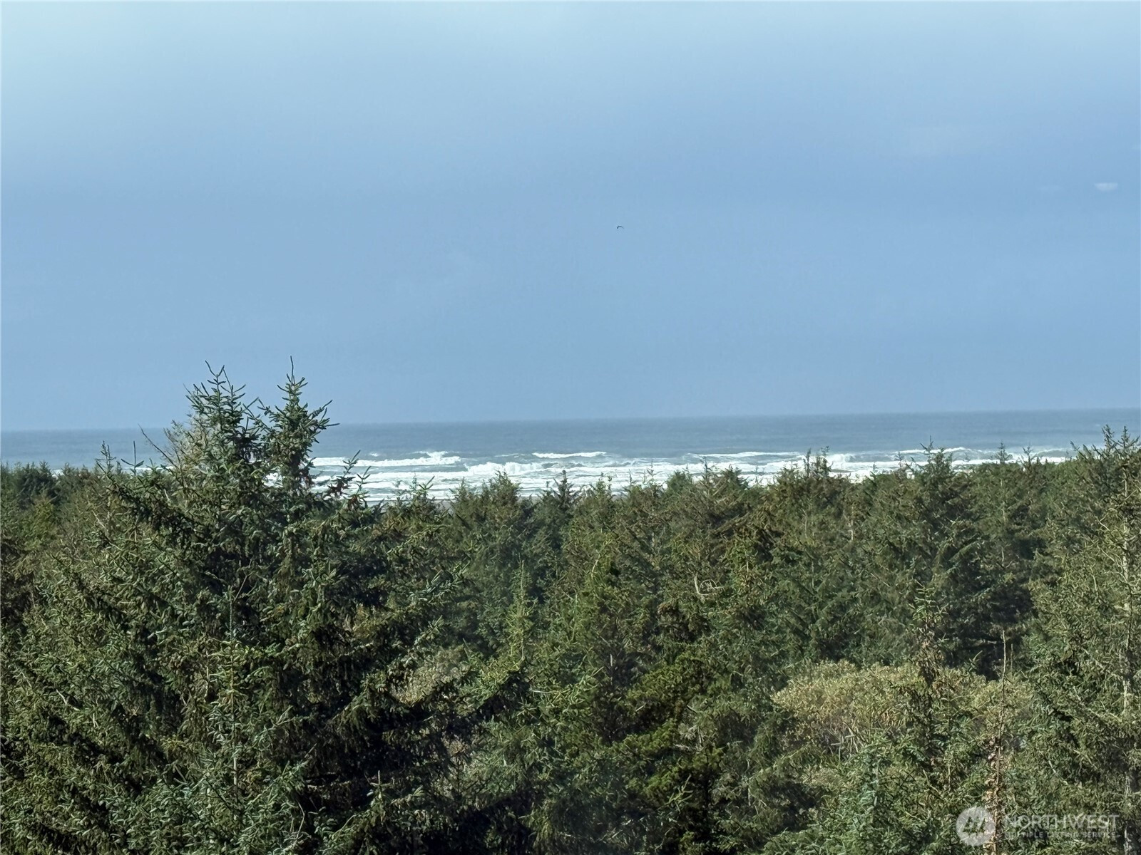 2815 Willows Road, Seaview, WA 98644