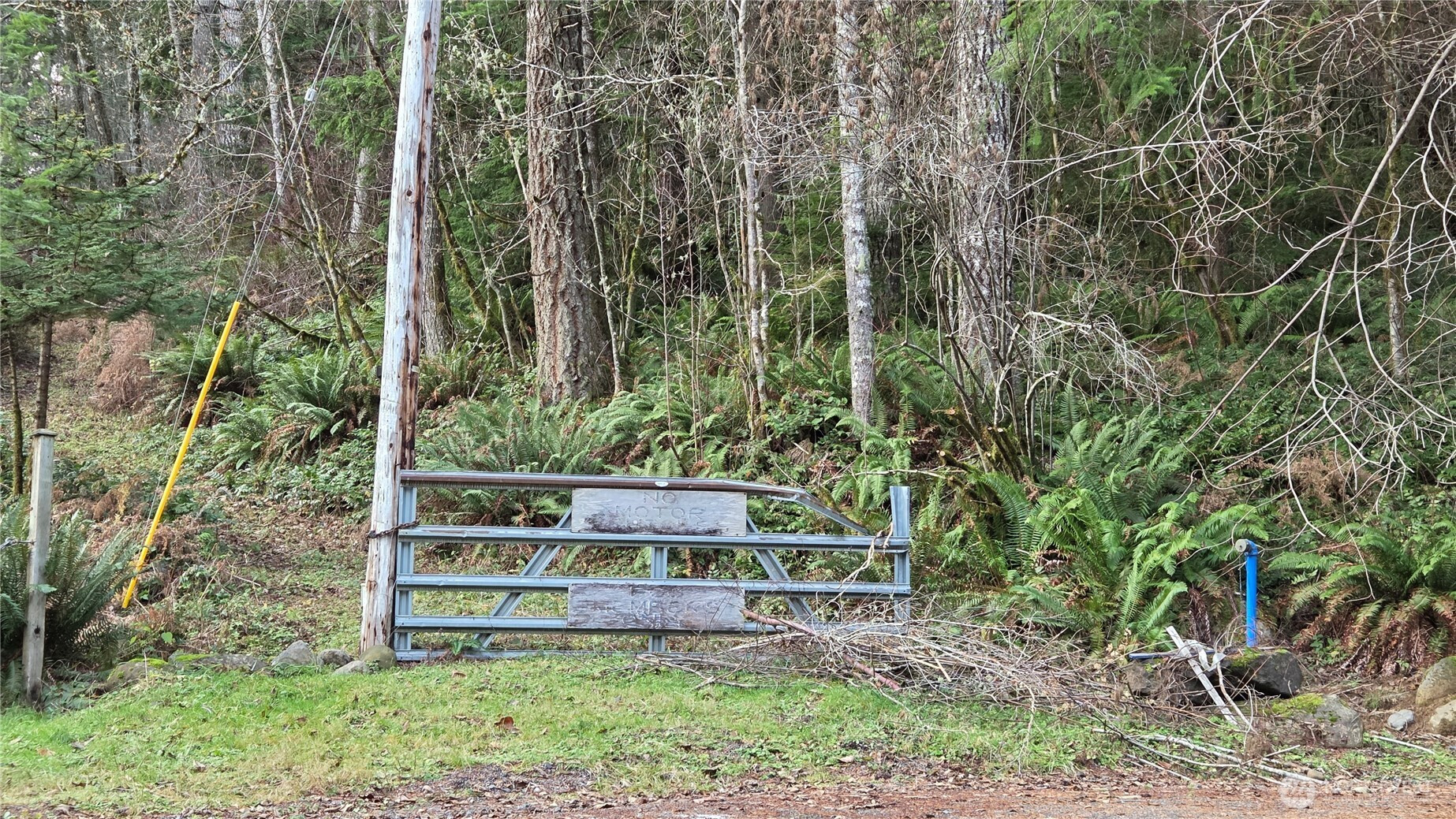 0 Kautz Place, Ashford, WA 98304