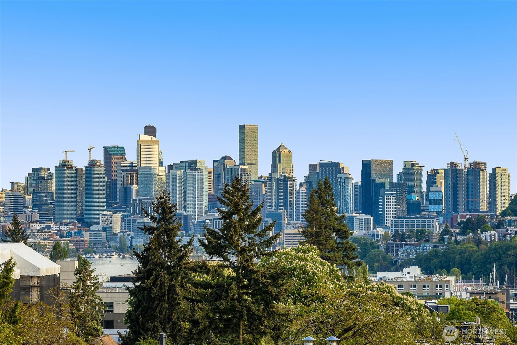 1203 D N Allen Place, Seattle, WA 98103