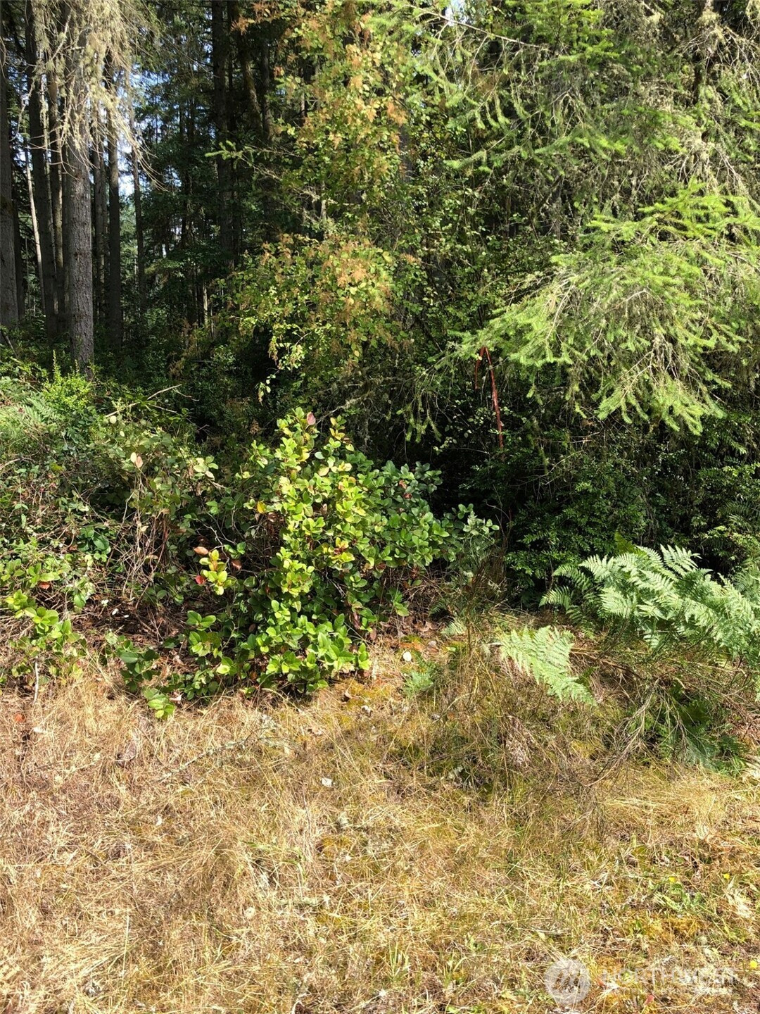 11419 Leschi Circle, Anderson Island, WA 98303