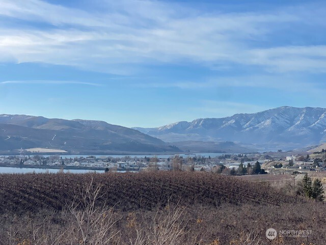 16 Columbia View Drive, Brewster, WA 98812