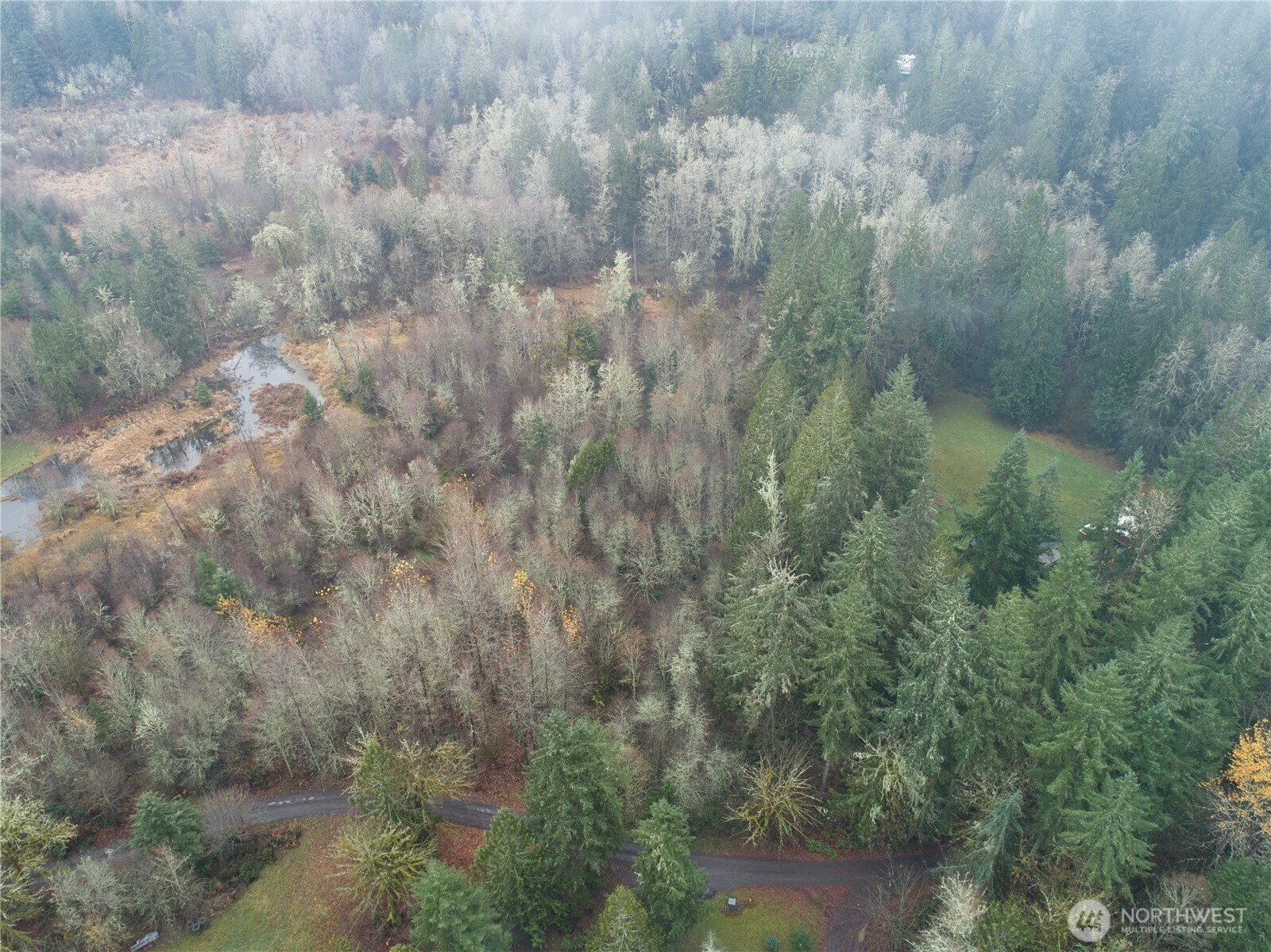 12 X Cougar Lane, Toledo, WA 98591
