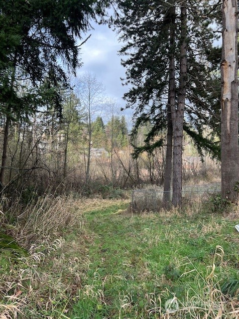 701 Iron Street, Eatonville, WA 98328