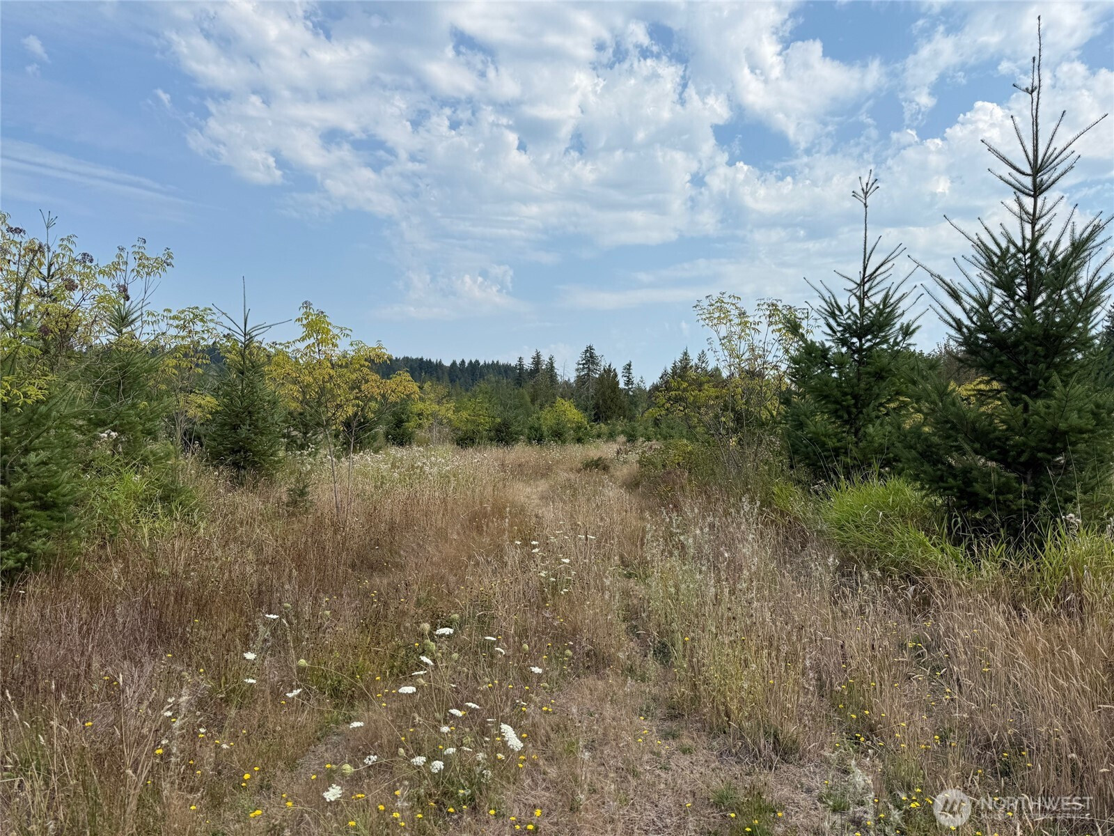 14 xx Spencer Road, Onalaska, WA 98570