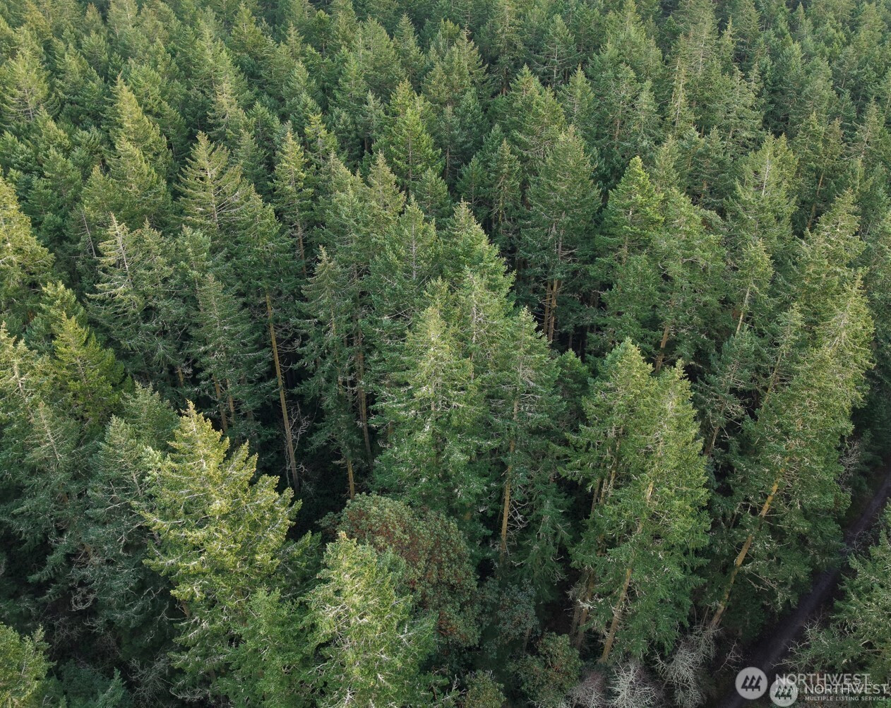 927 Bell Street, Port Townsend, WA 98368