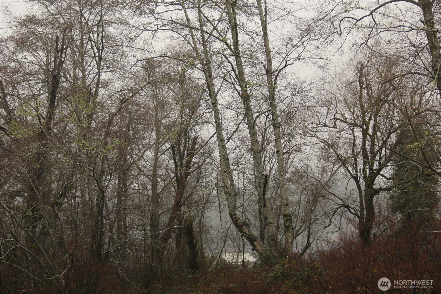 0 Godfrey Street, Raymond, WA 98586