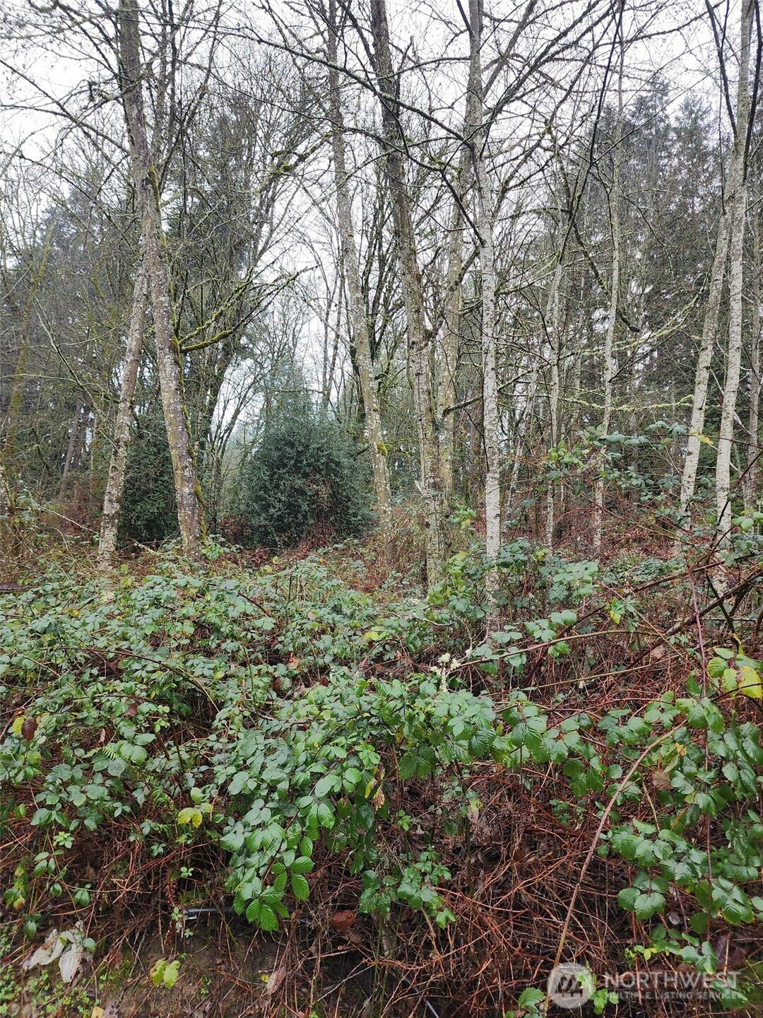 679 17th Avenue NW, Issaquah, WA 98027