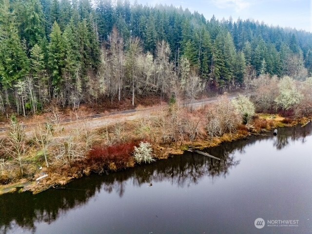 0 Orville Road E, Eatonville, WA 98328