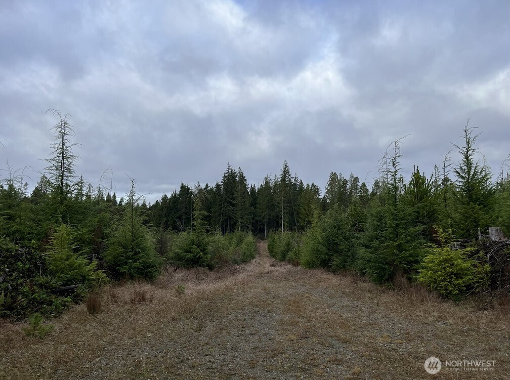 0 0, Moclips, WA 98562