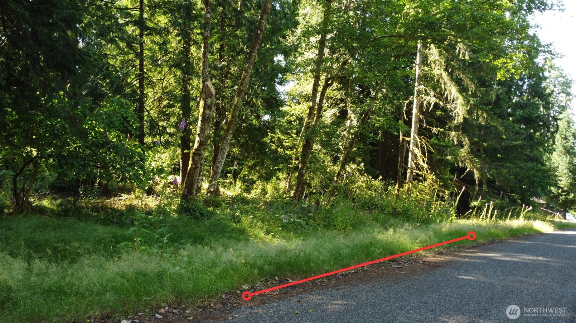 10114 Selma Circle, Anderson Island, WA 98303