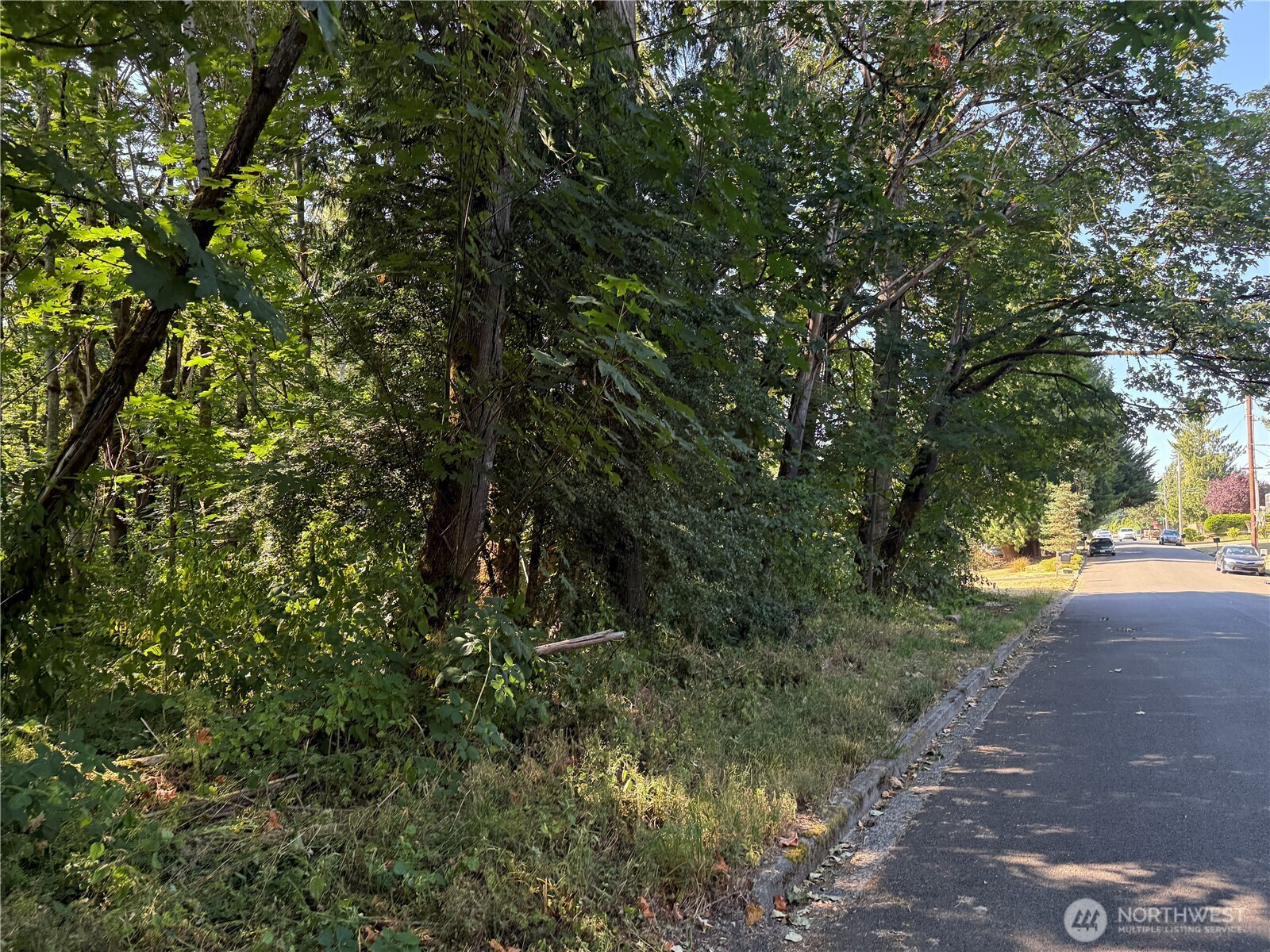 32257 39th Avenue S, Federal Way, WA 98001