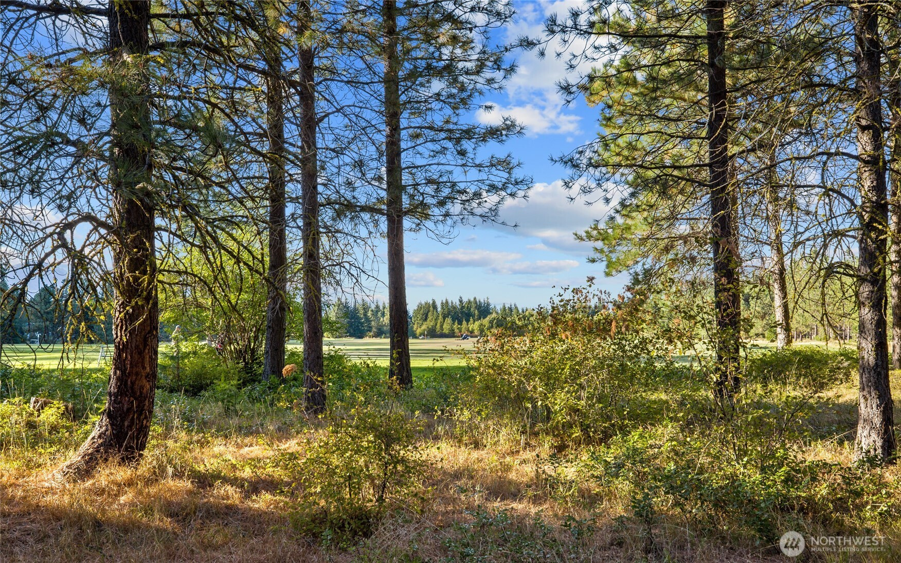 2040 Ruby King Loop, Cle Elum, WA 98922