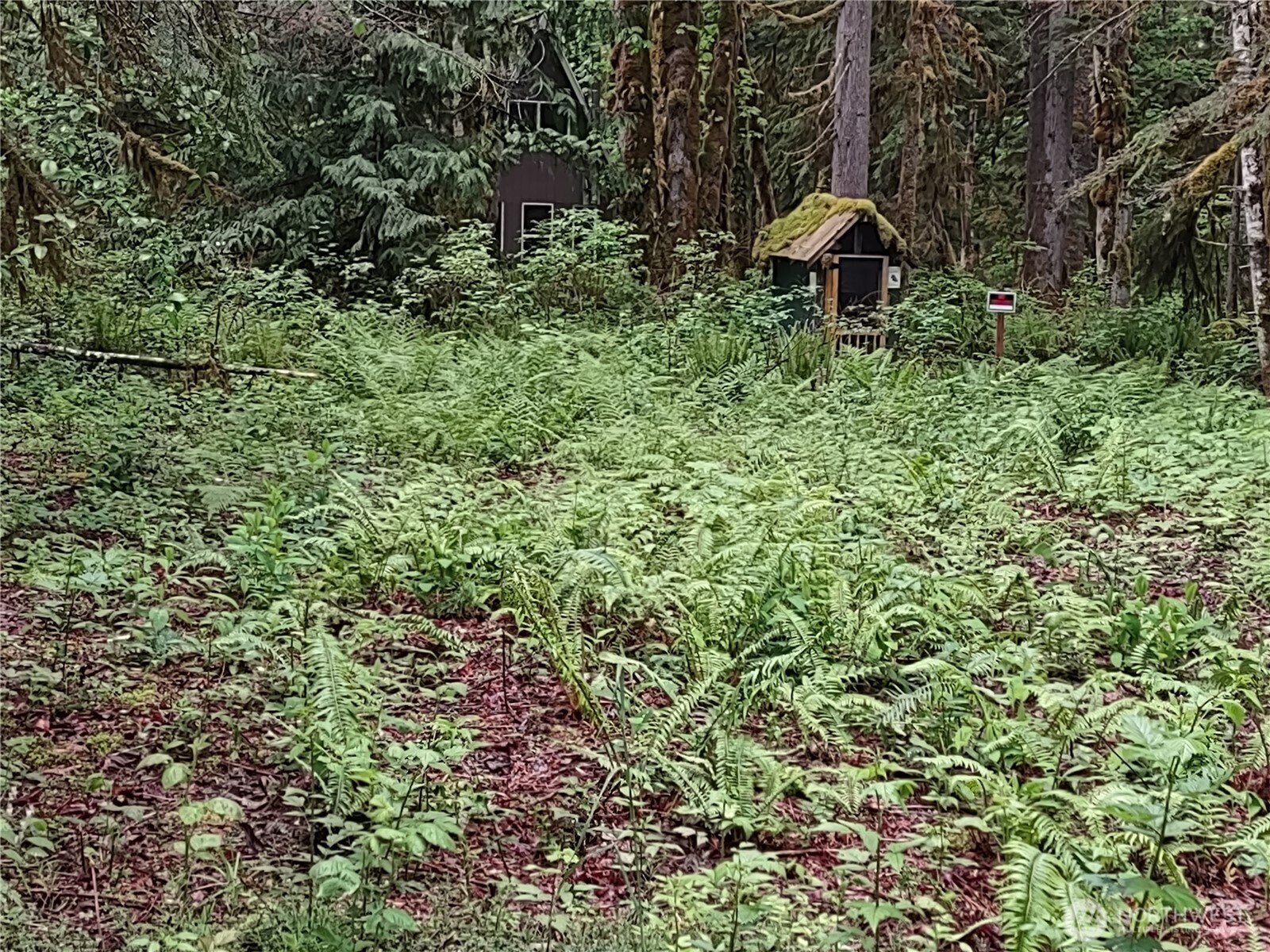 63645 NE 190th Street, Baring, WA 98224