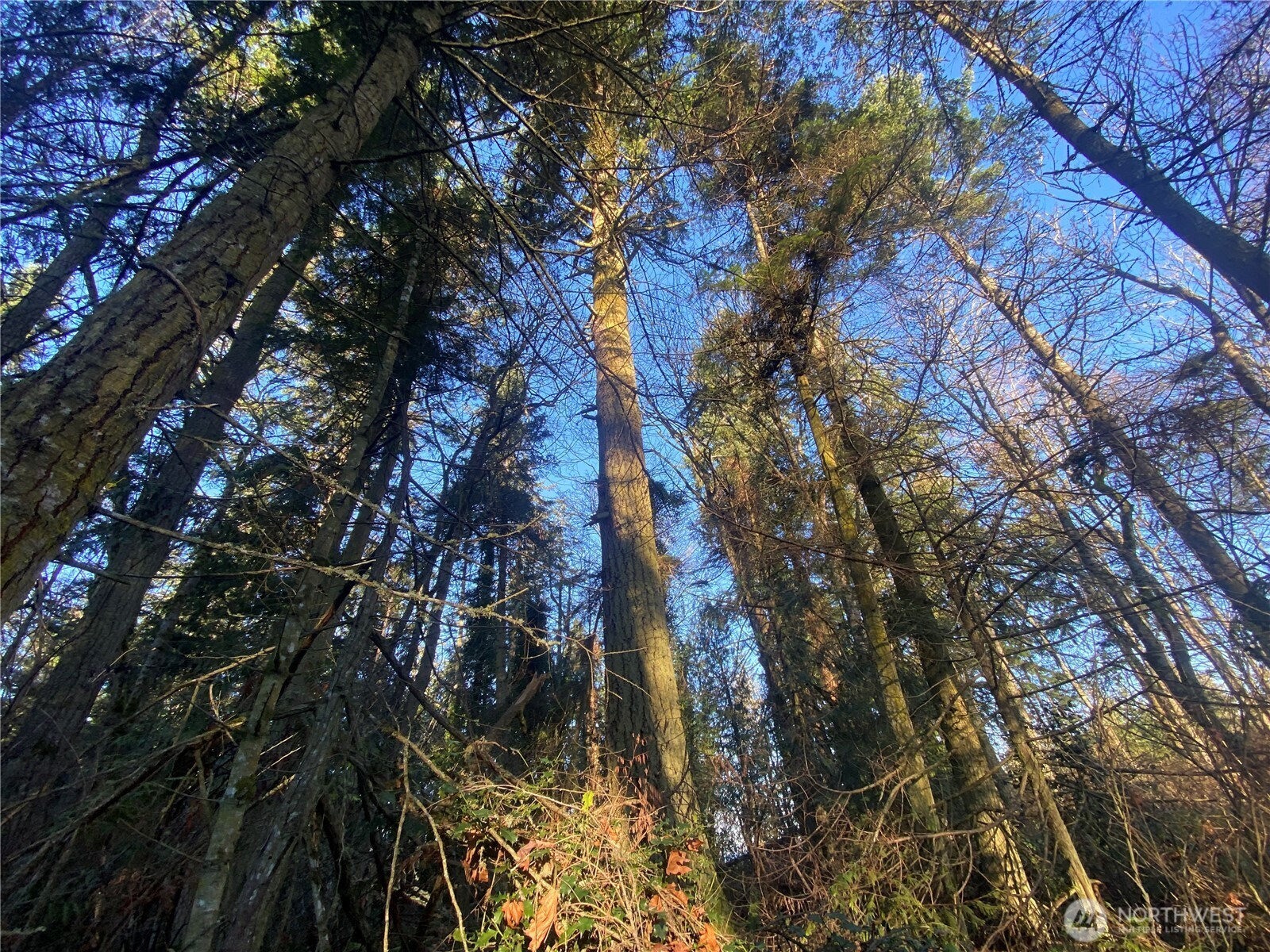 999 White Street, Port Hadlock, WA 98339