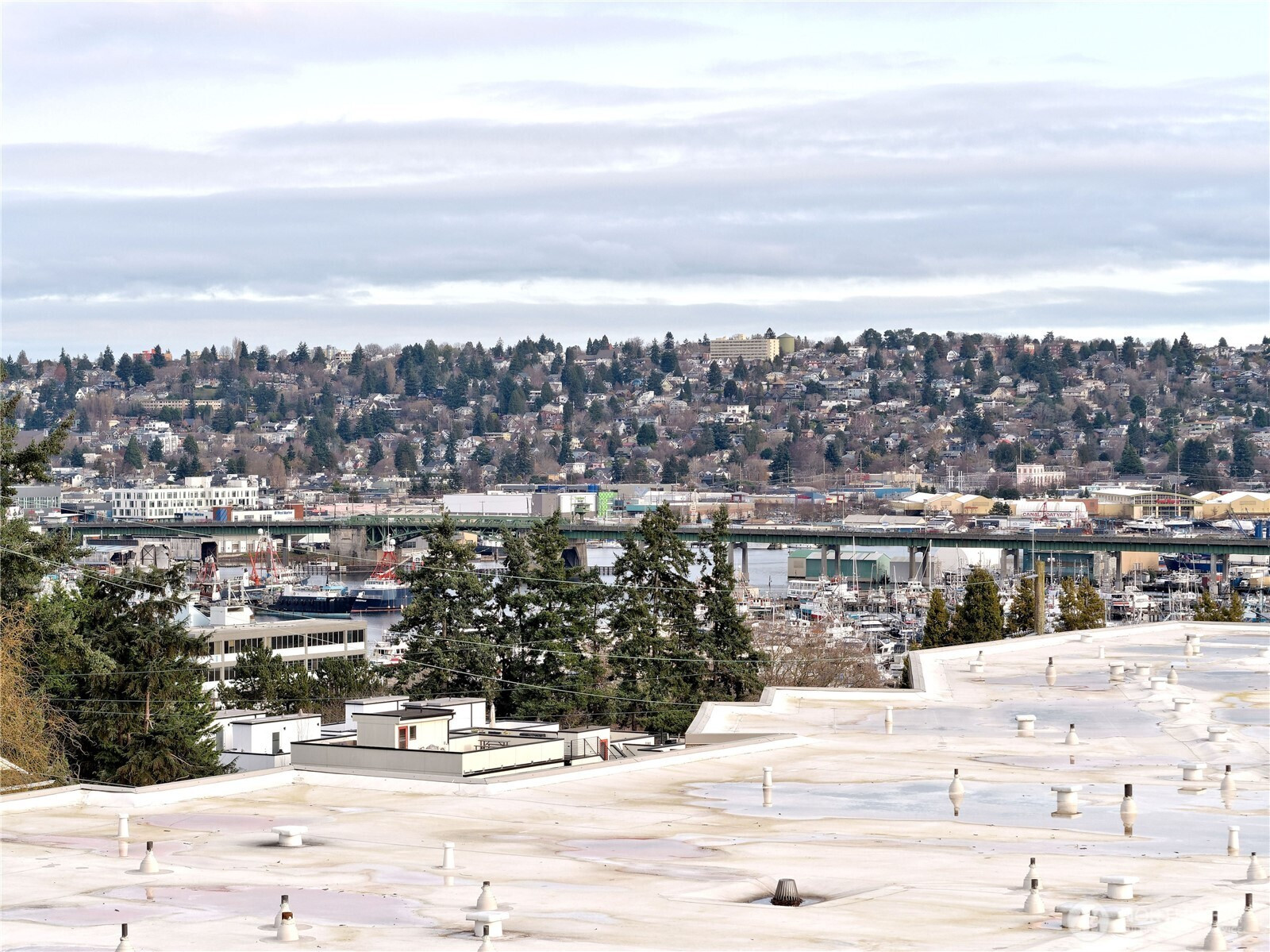 3700 25th Place W, Seattle, WA 98199