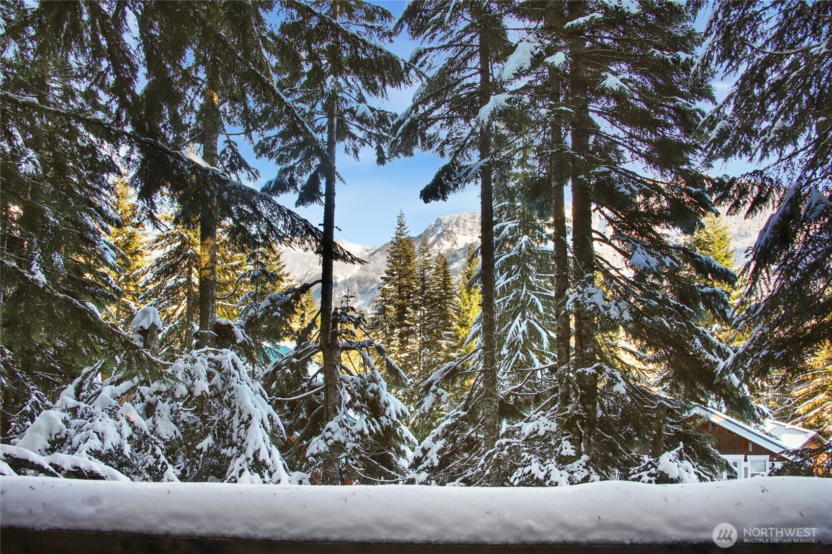 710 Snoqualmie Dr, Snoqualmie Pass, WA 98068