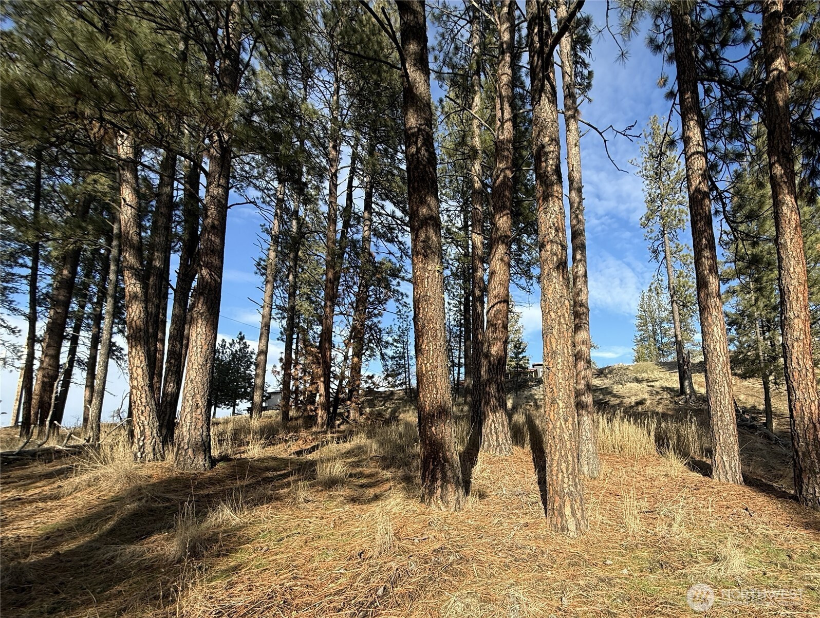 0 Adams Street, Republic, WA 99166