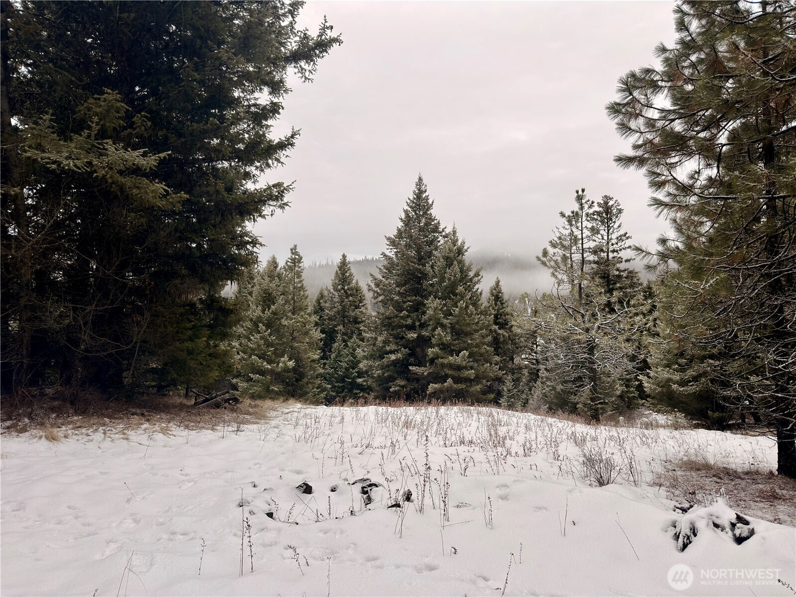 25 Miner's Ridge Road, Oroville, WA 98844