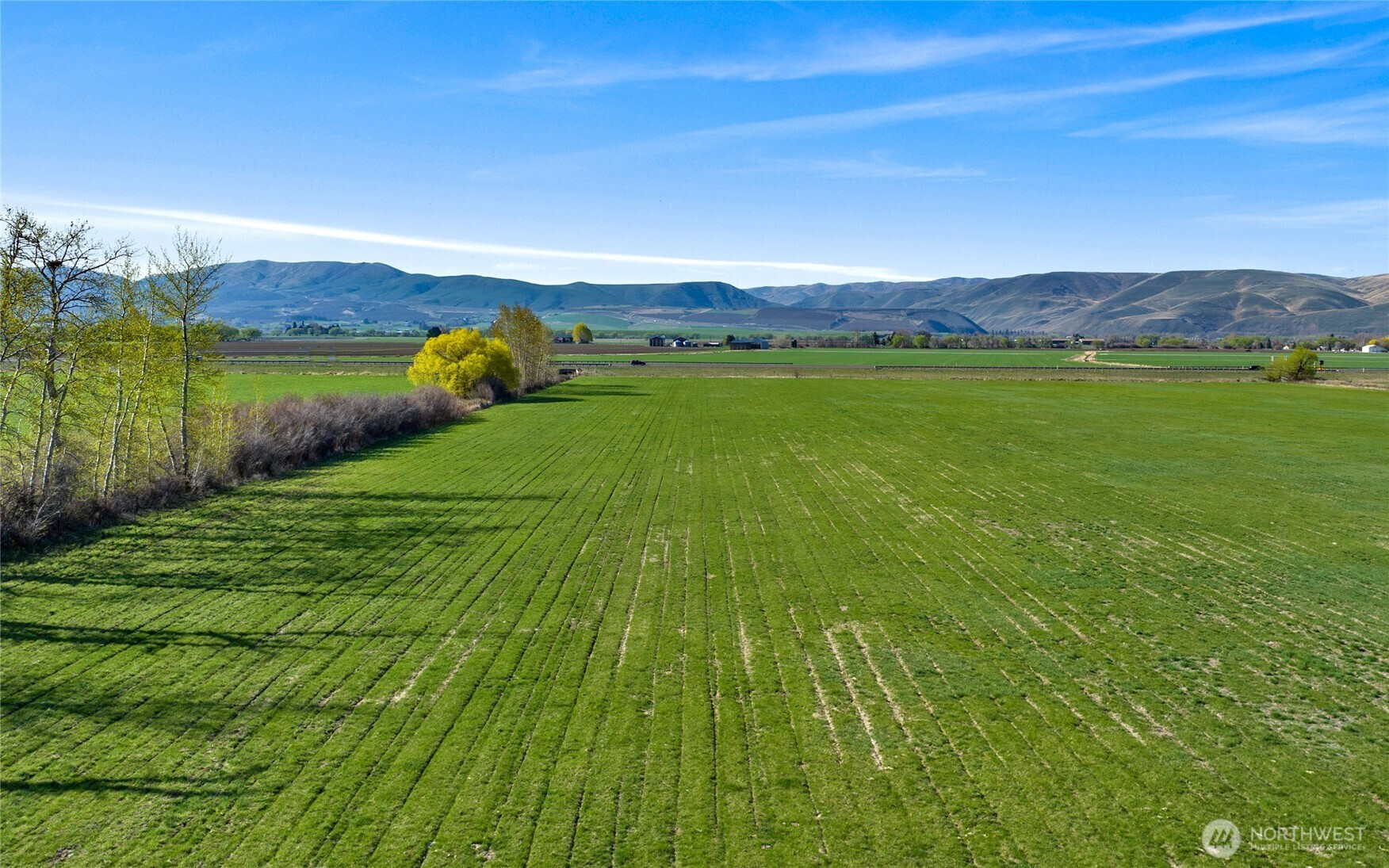 5 XX Rein Road, Ellensburg, WA 98926