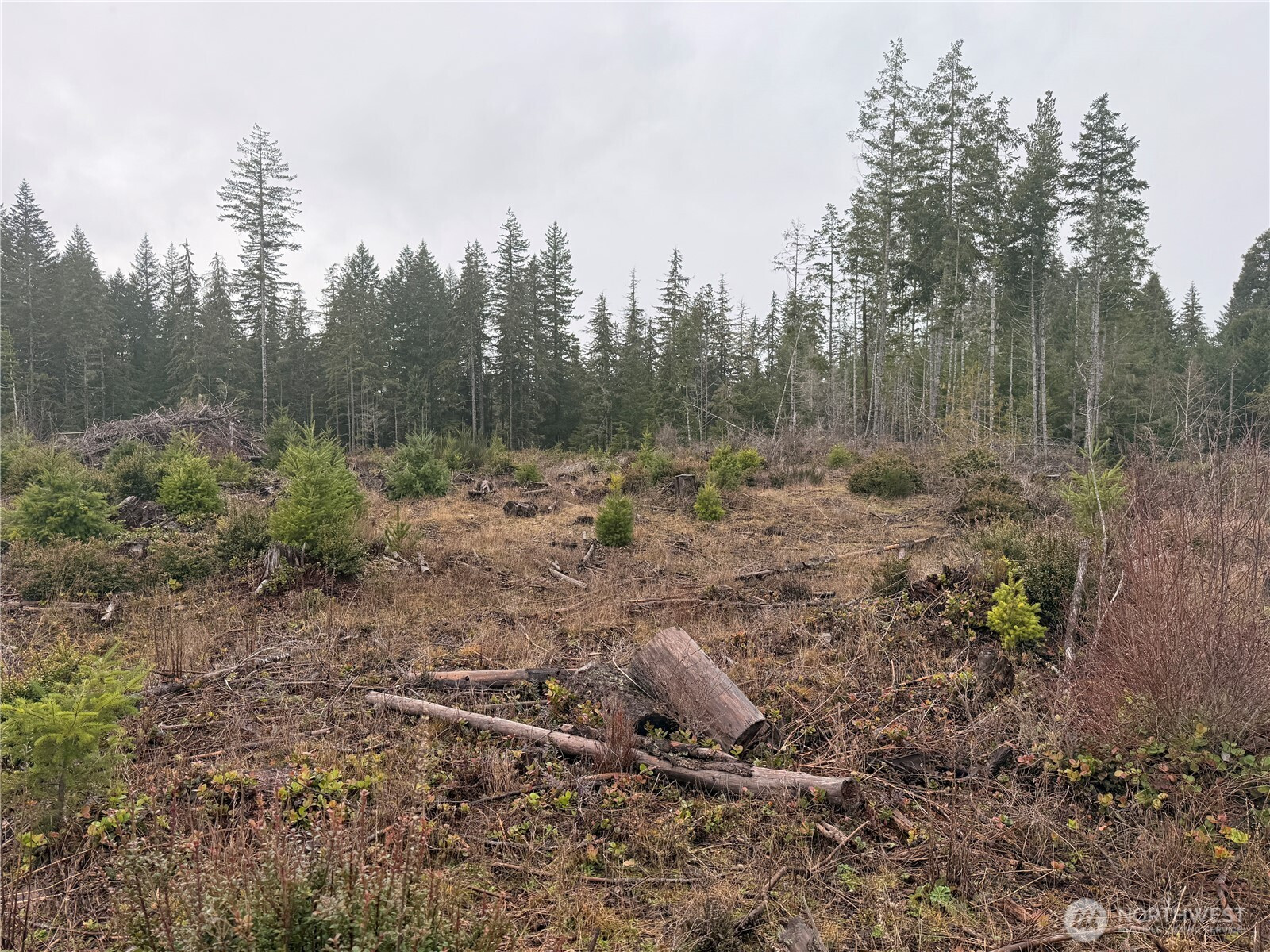 10 XX E Shetland Road, Shelton, WA 98584