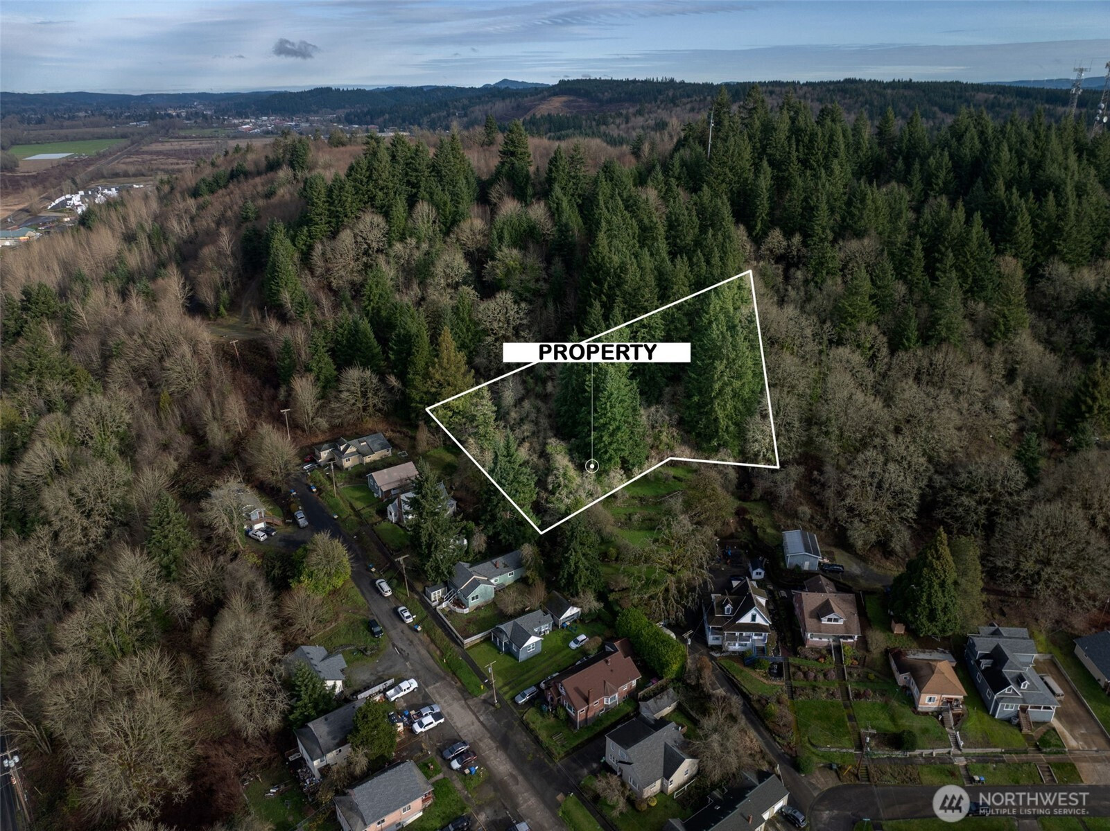 0 NE Franklin Avenue, Chehalis, WA 98532
