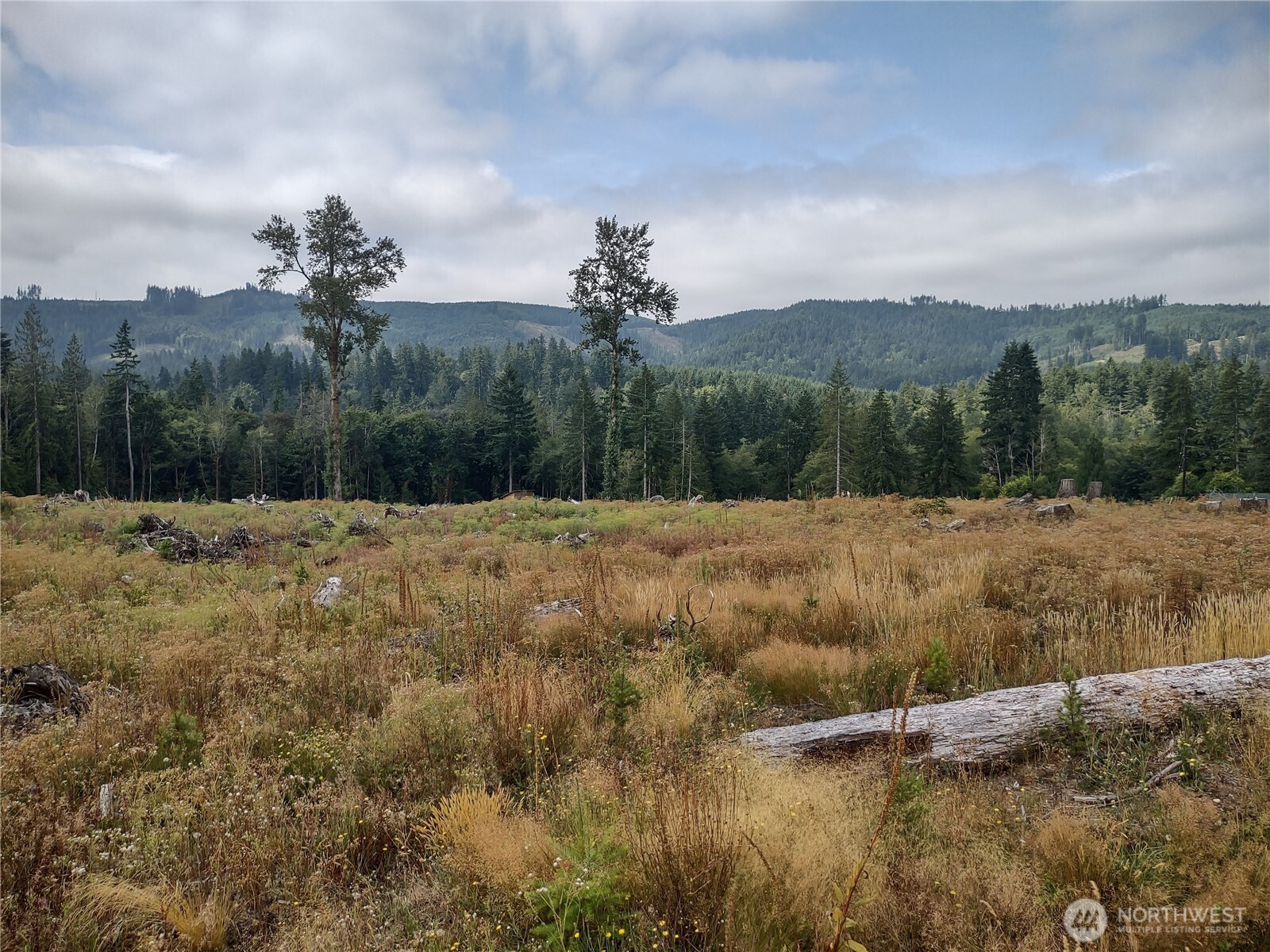 0 Summit Lake Road, Olympia, WA 98502