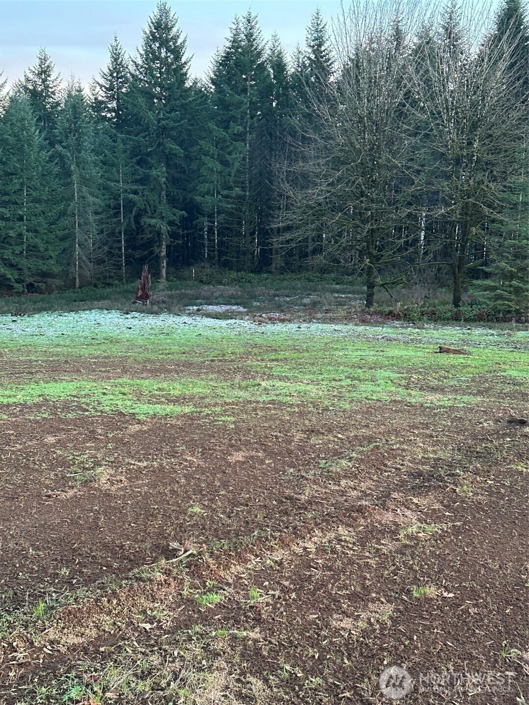 245 Suncrest Drive, Castle Rock, WA 98611