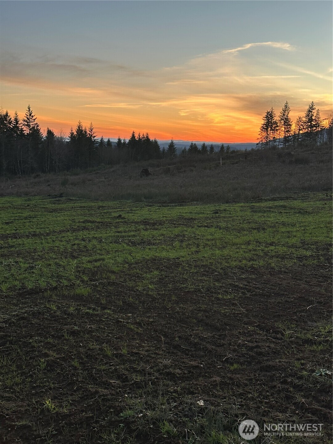 242 Suncrest Drive, Castle Rock, WA 98611