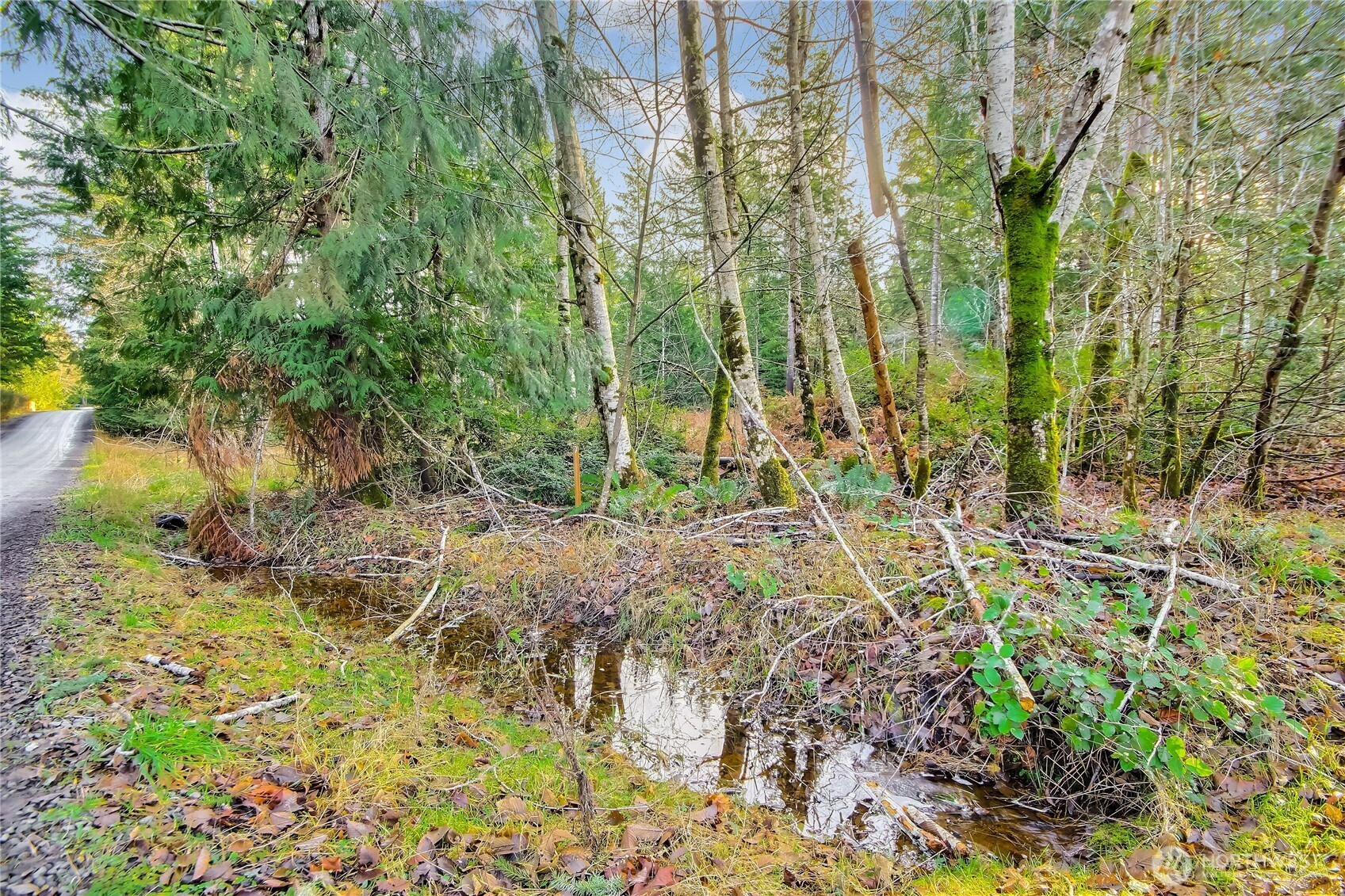 1 E Jared Road, Shelton, WA 98584