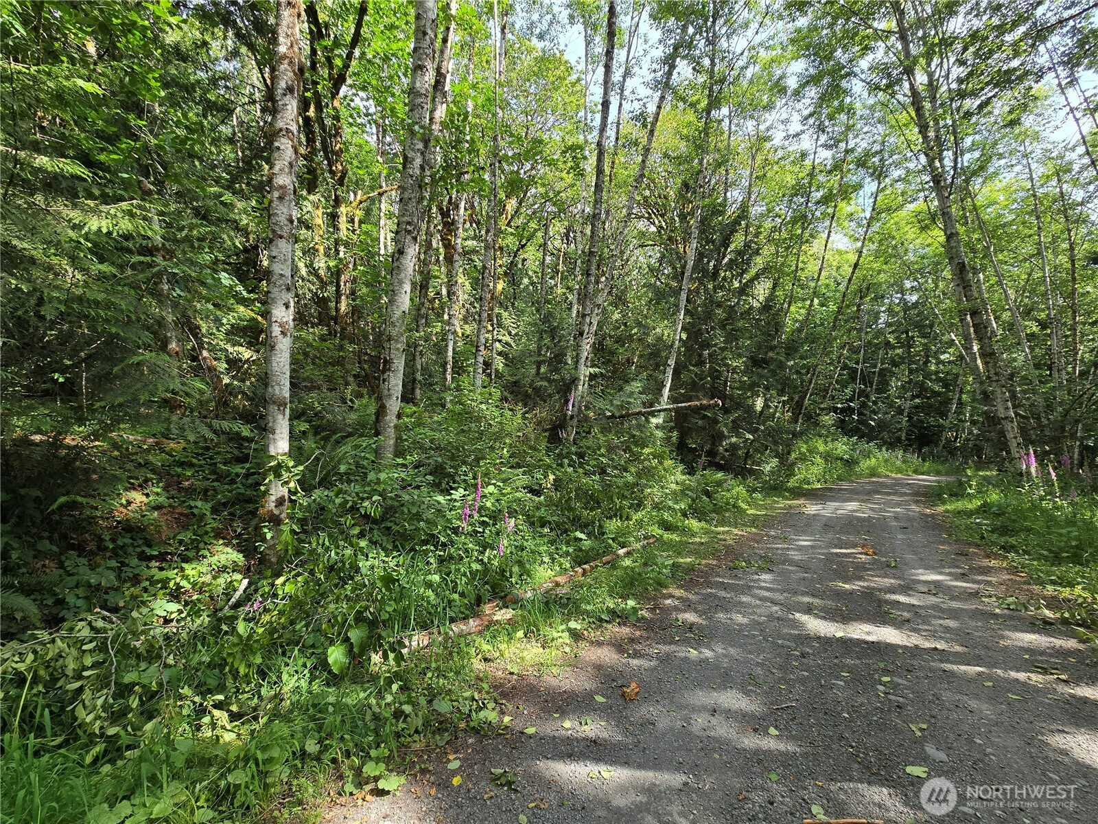 0 XXX Triton Heights Road, Lilliwaup, WA 98555