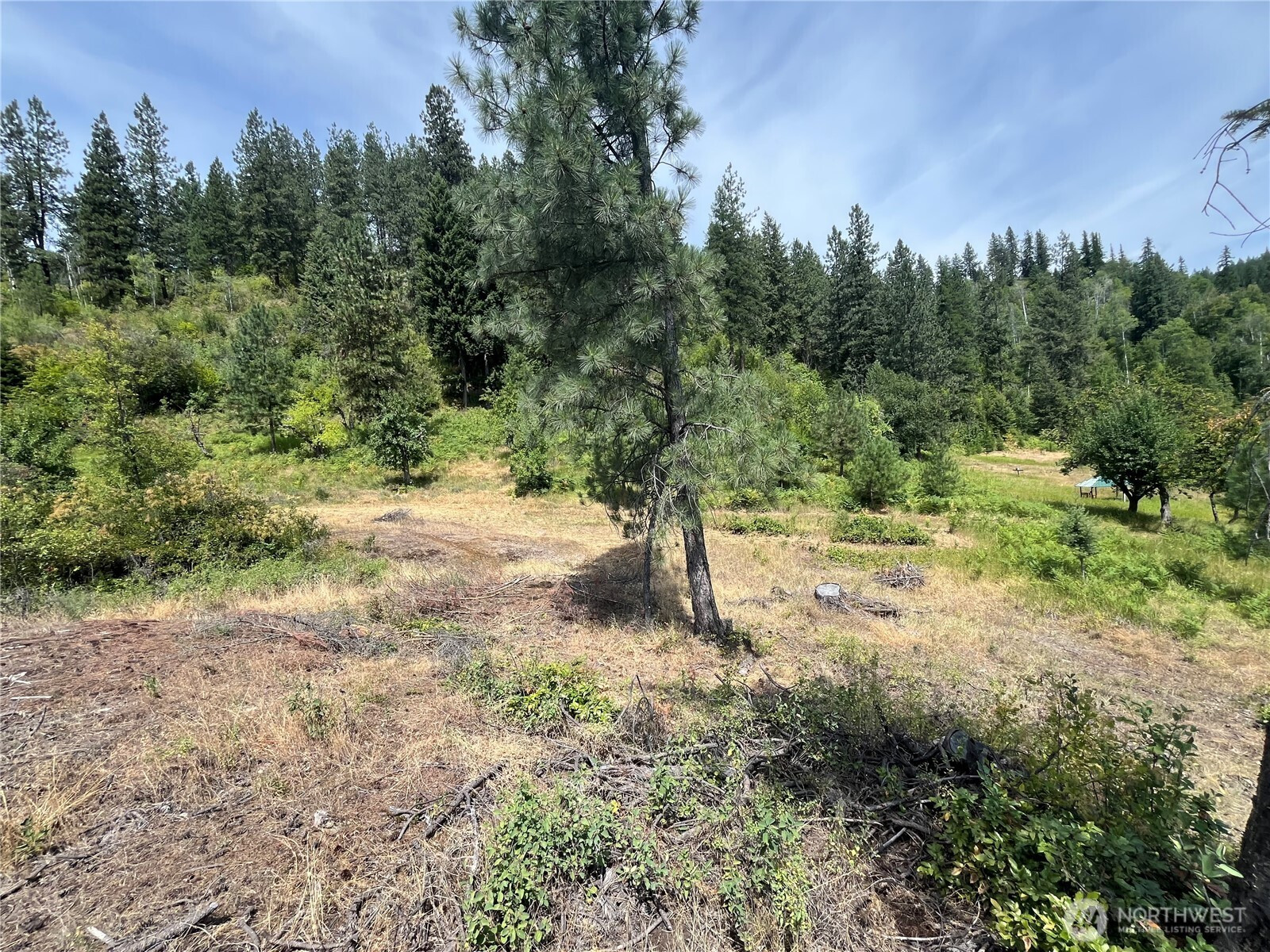 0 1 TBD Mitchell Road, Northport, WA 99157