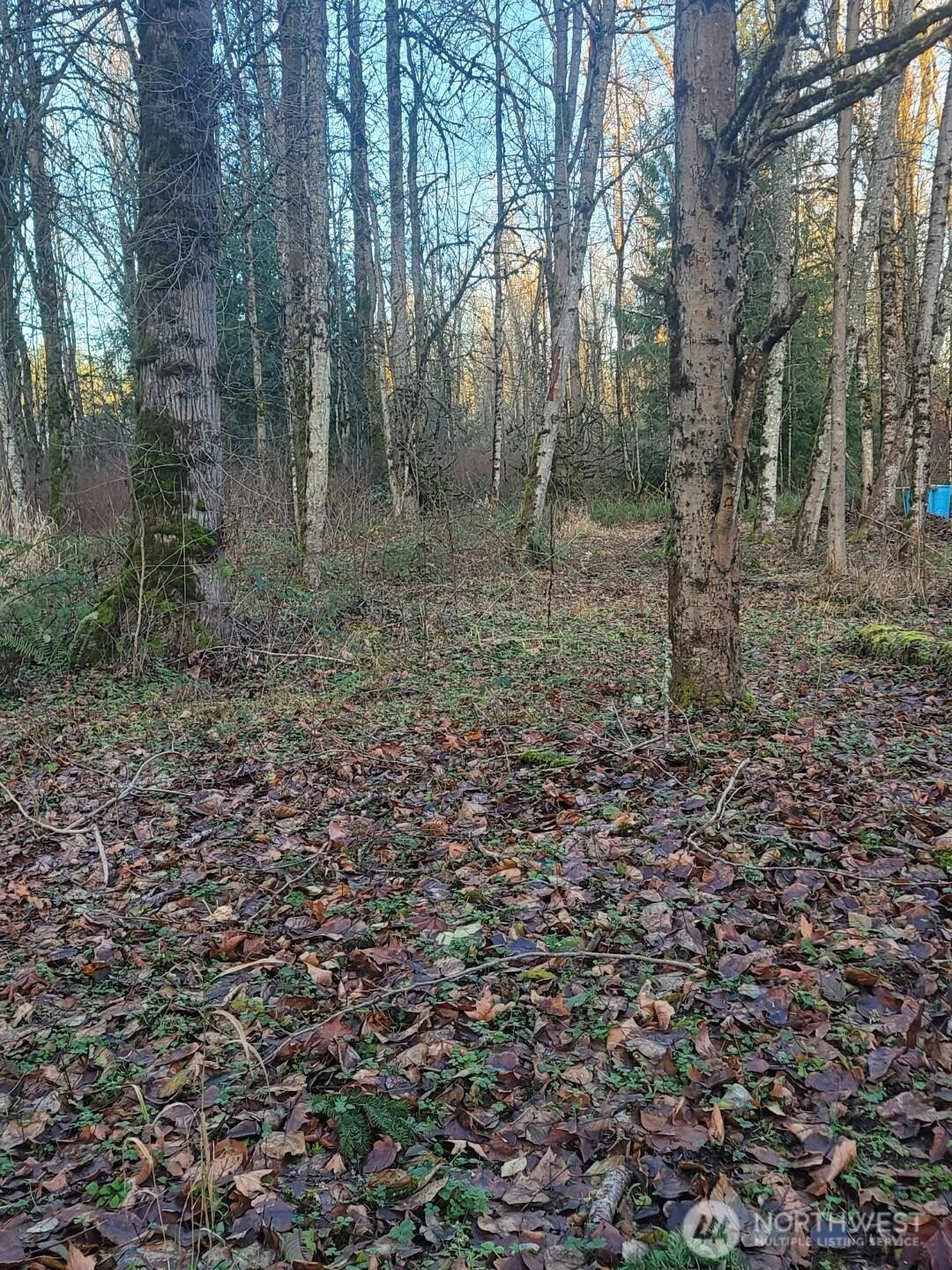 35750 Military Road S, Auburn, WA 98001